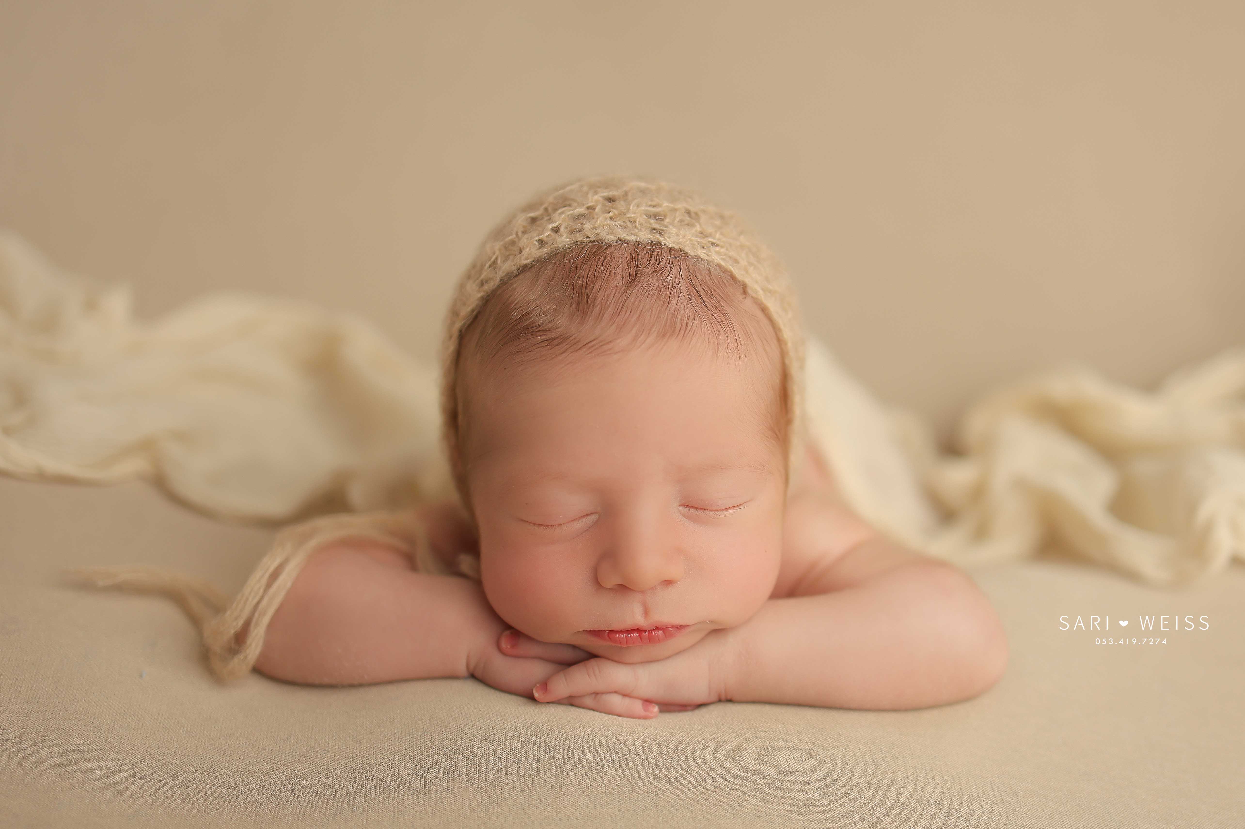 237A4648 copy מוקטן.jpg