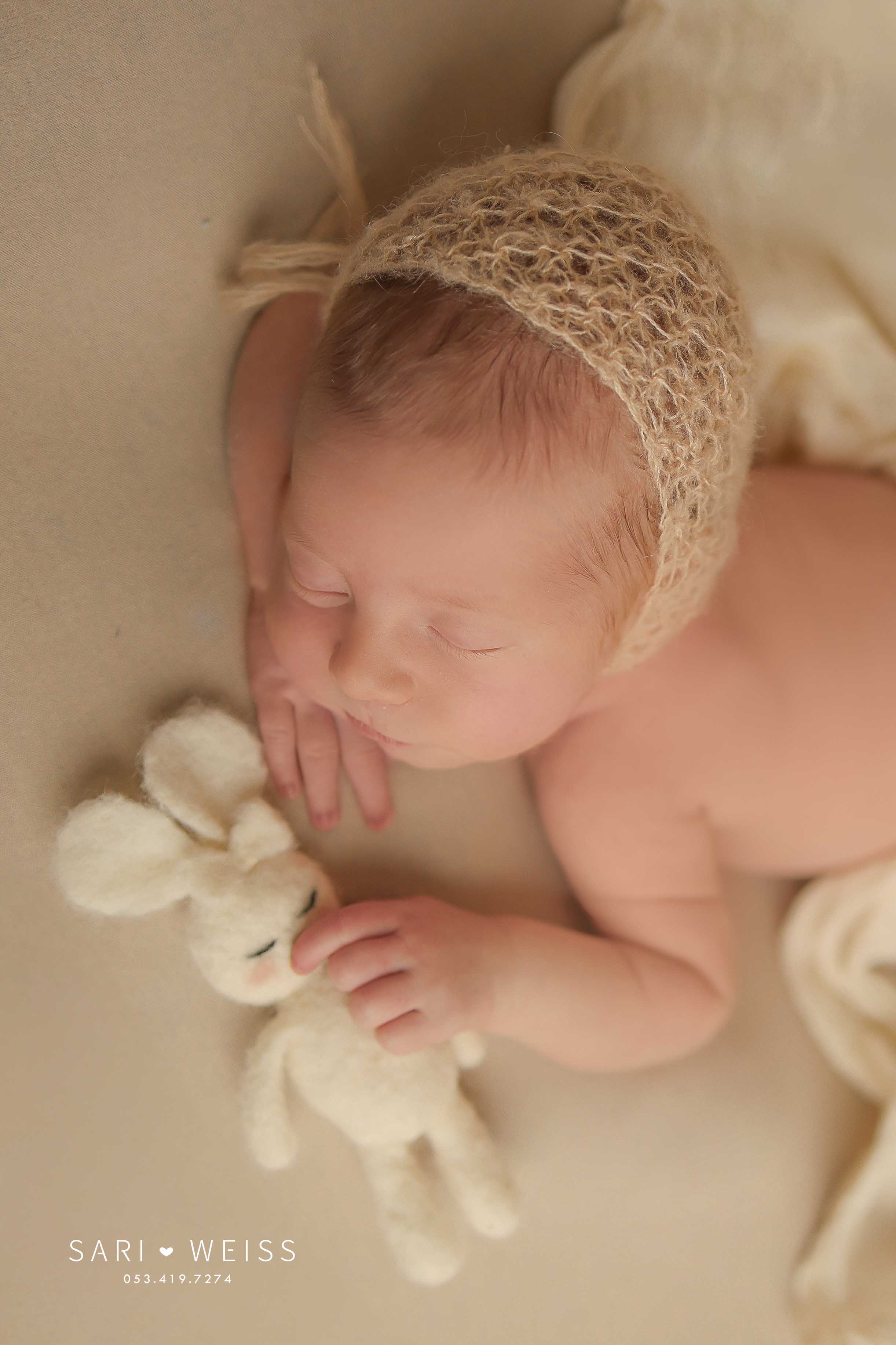 237A4663 2 copy מוקטן.jpg