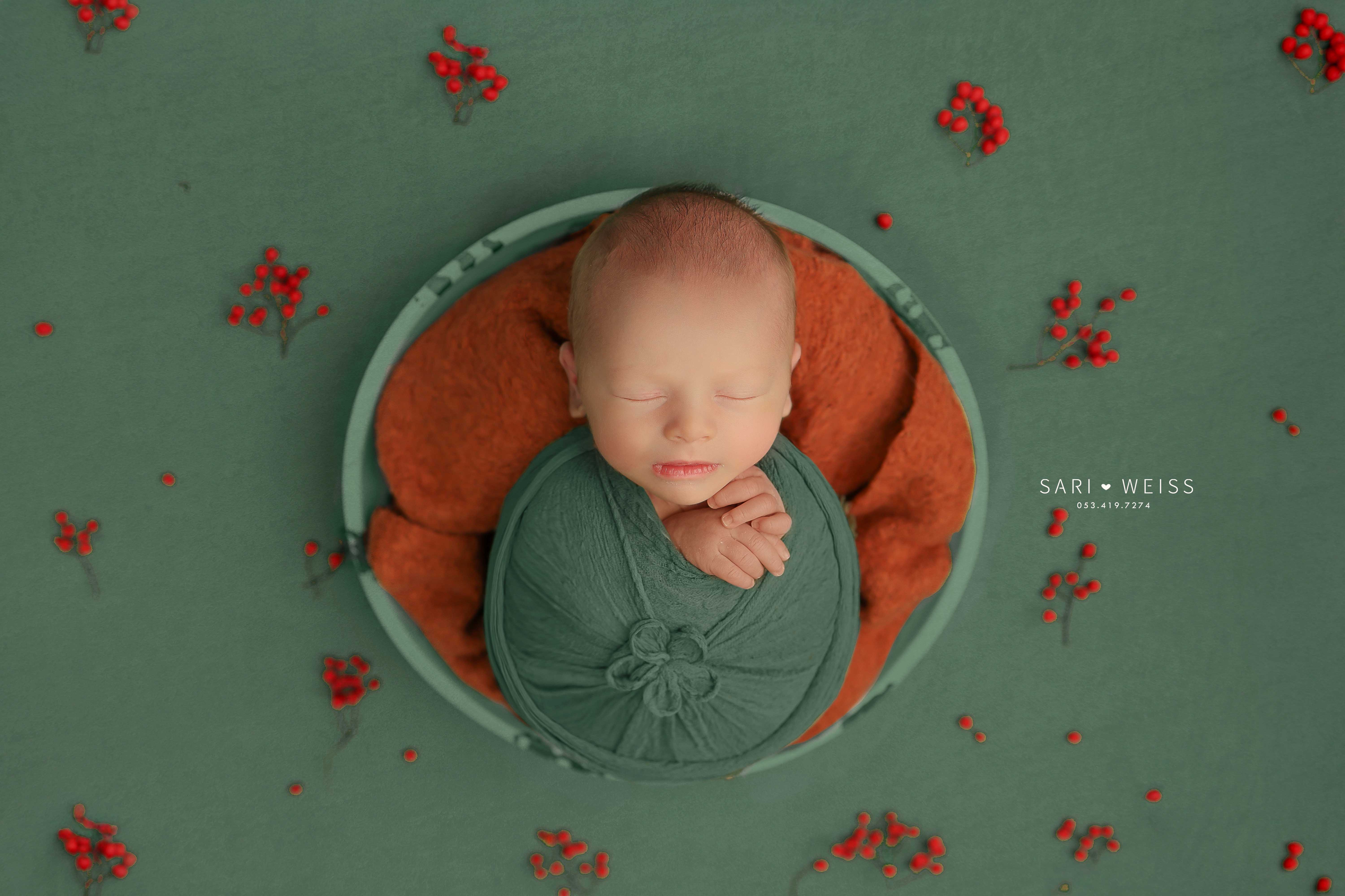 237A5216 copy מוקטן.jpg