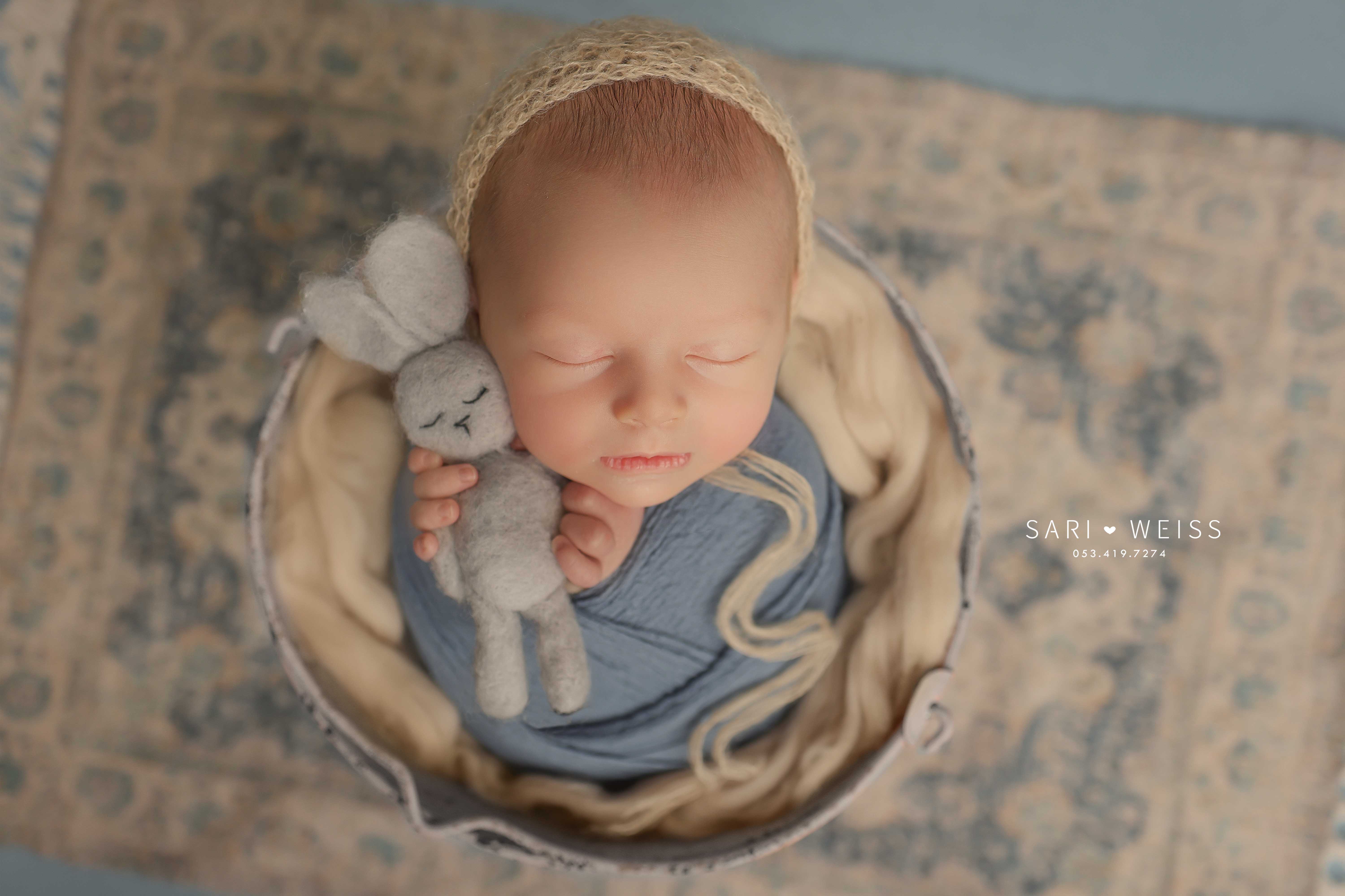 237A5321 copy מוקטן.jpg