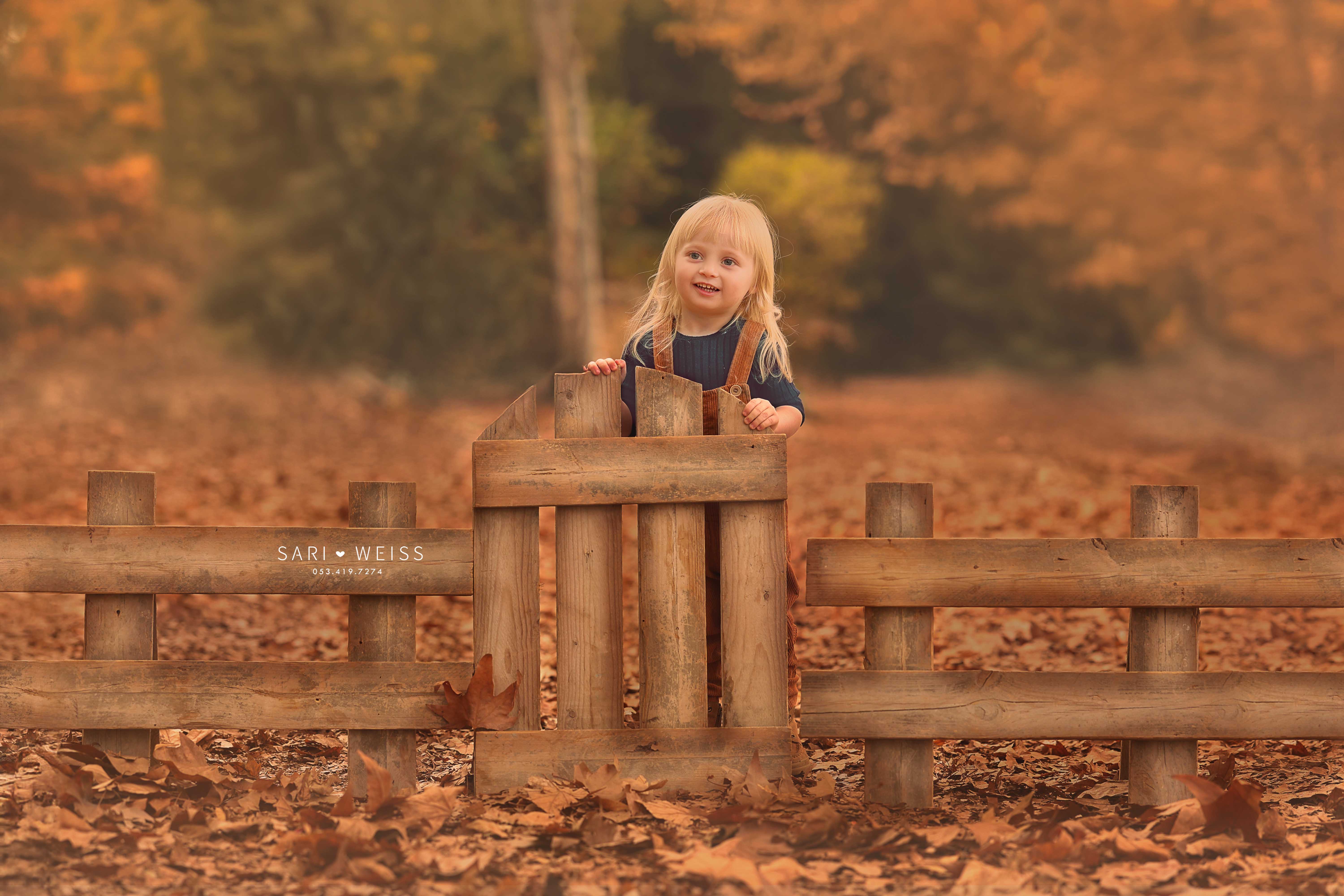 237A5753 copy מוקטן.jpg