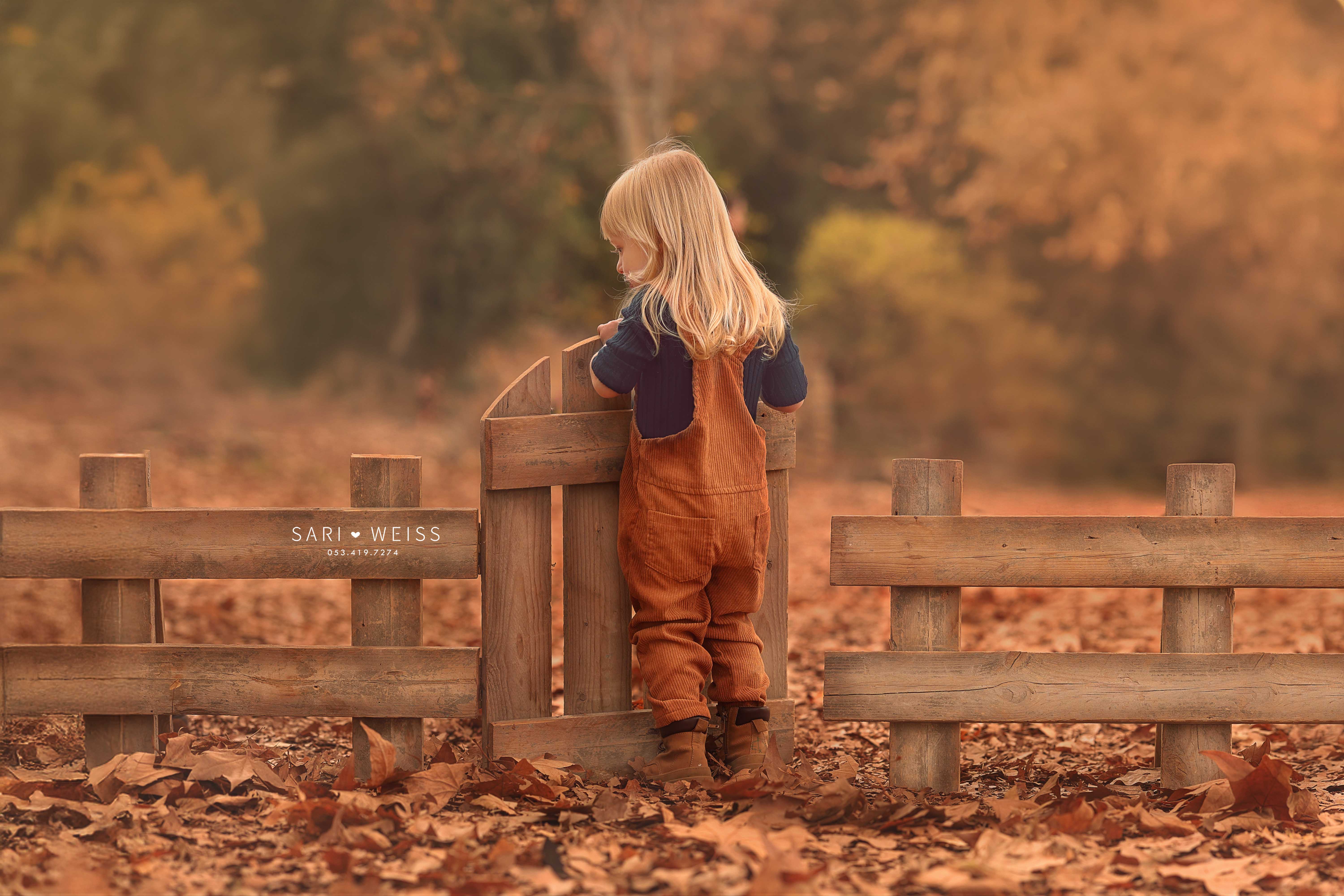 237A5757 copy מוקטן.jpg