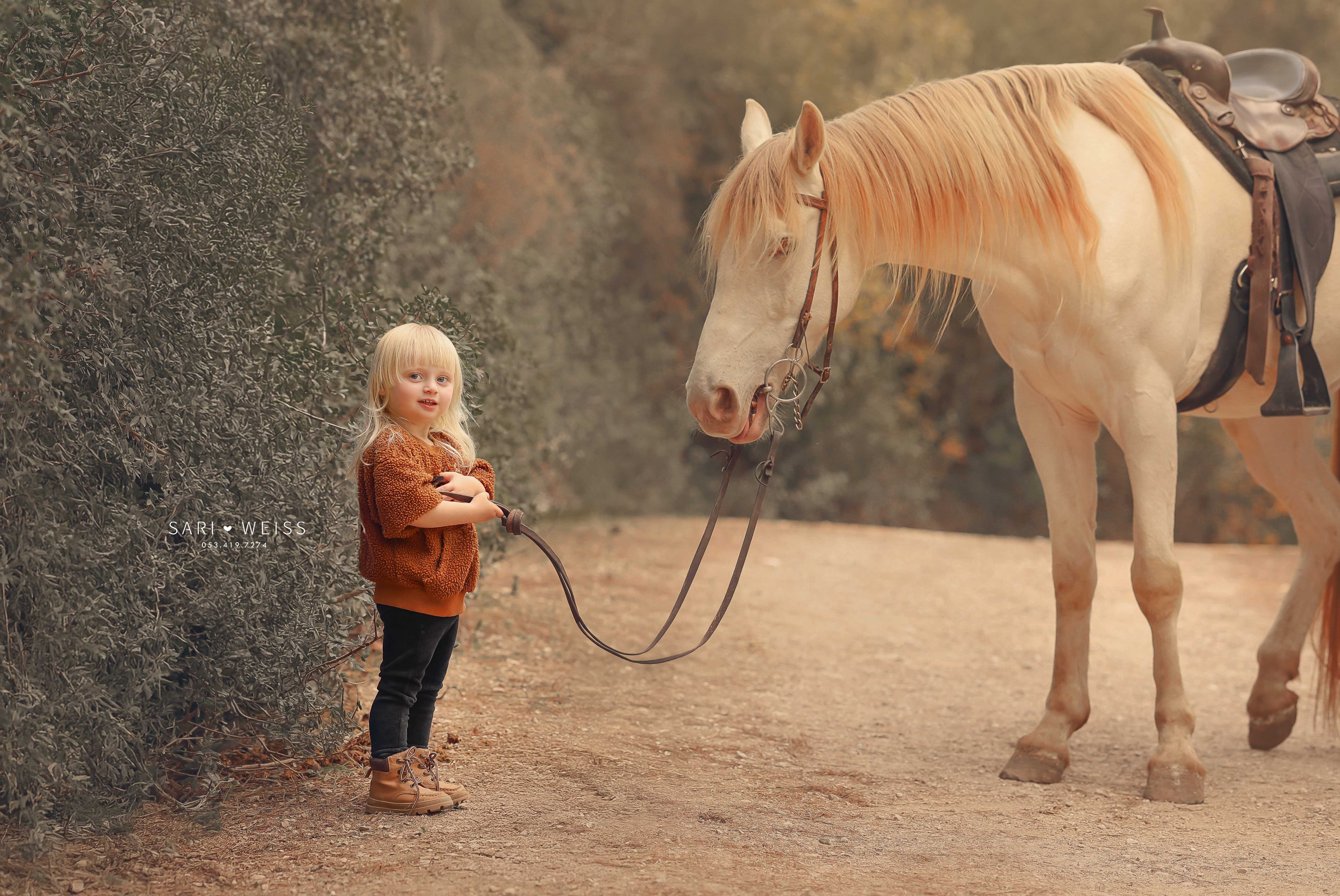 237A6592 copy מוקטן.jpg