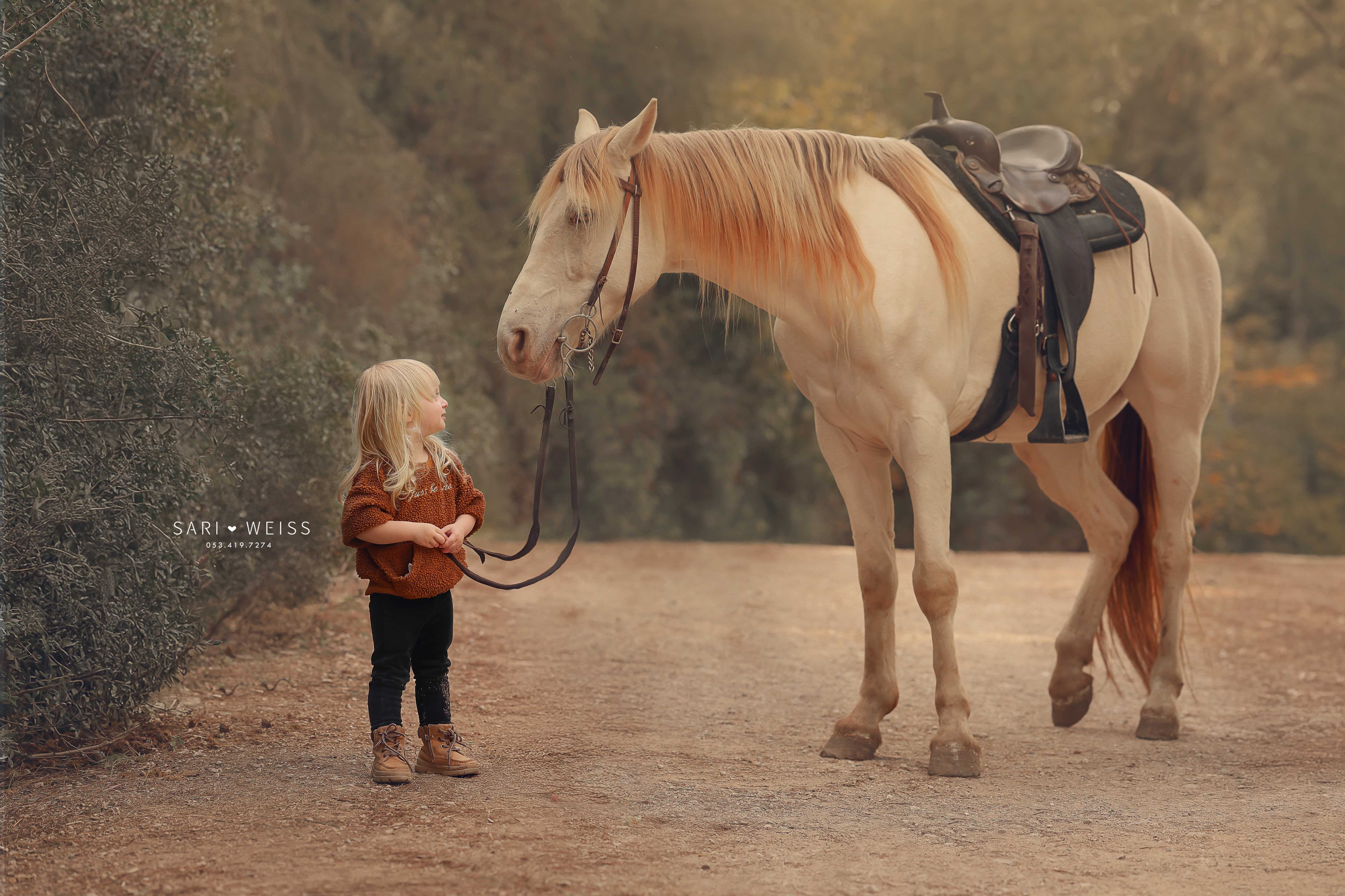 237A6650 copy מוקטן.jpg