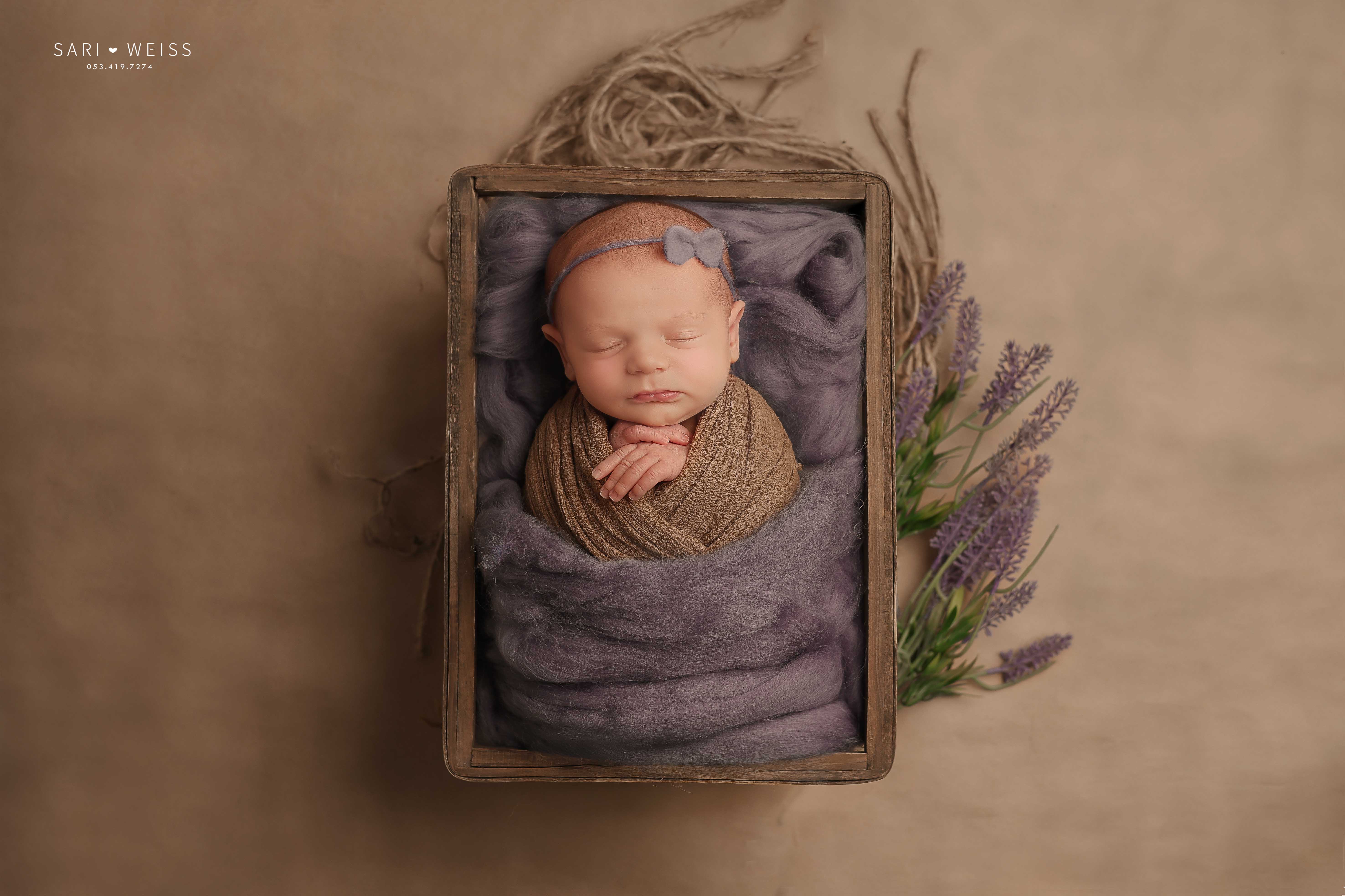 237A8388 copy מוקטן.jpg