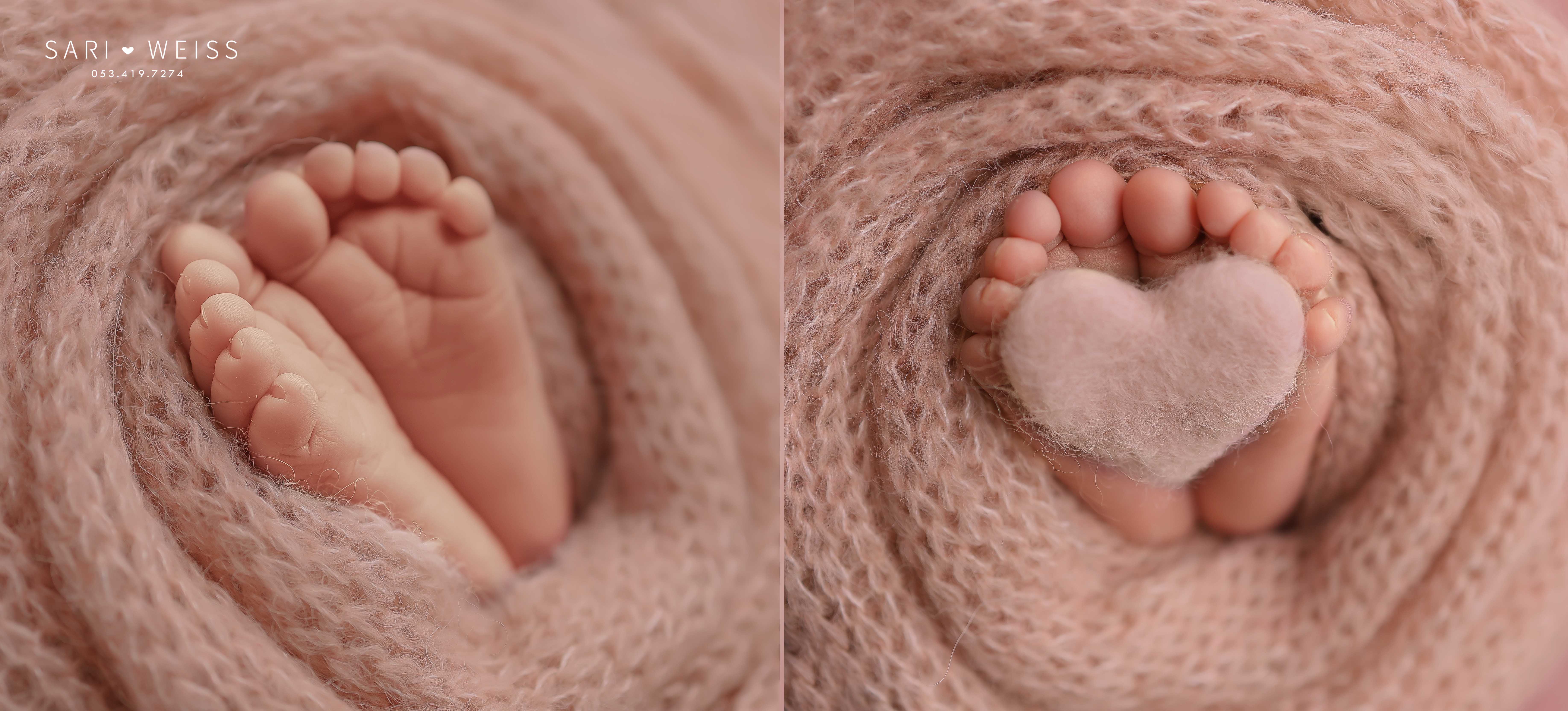 237A9663 copy מוג.jpg