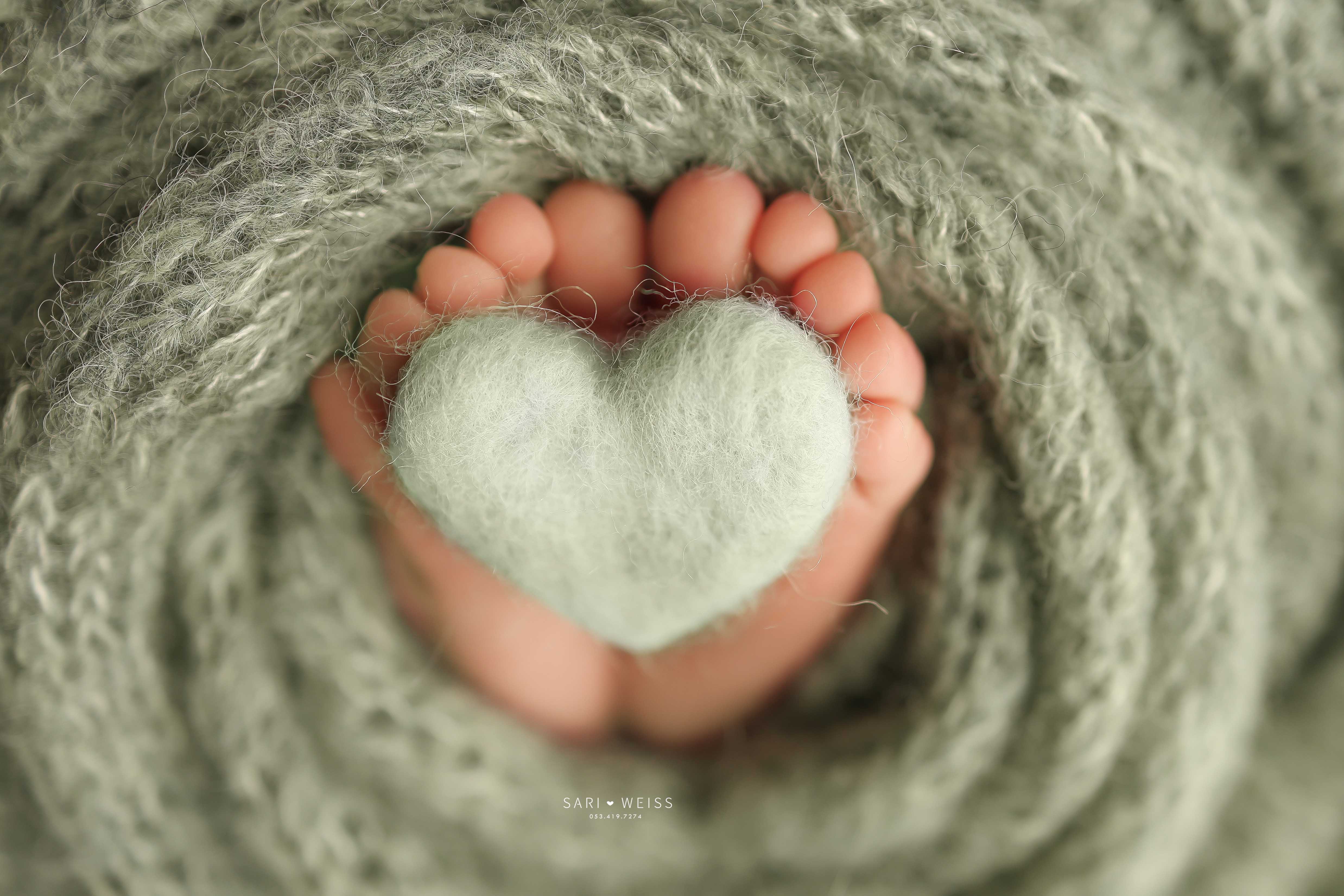 237A9946 copy 2 מוק.jpg