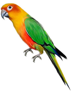 23b4e17b956654a885fd8523c659af97.png