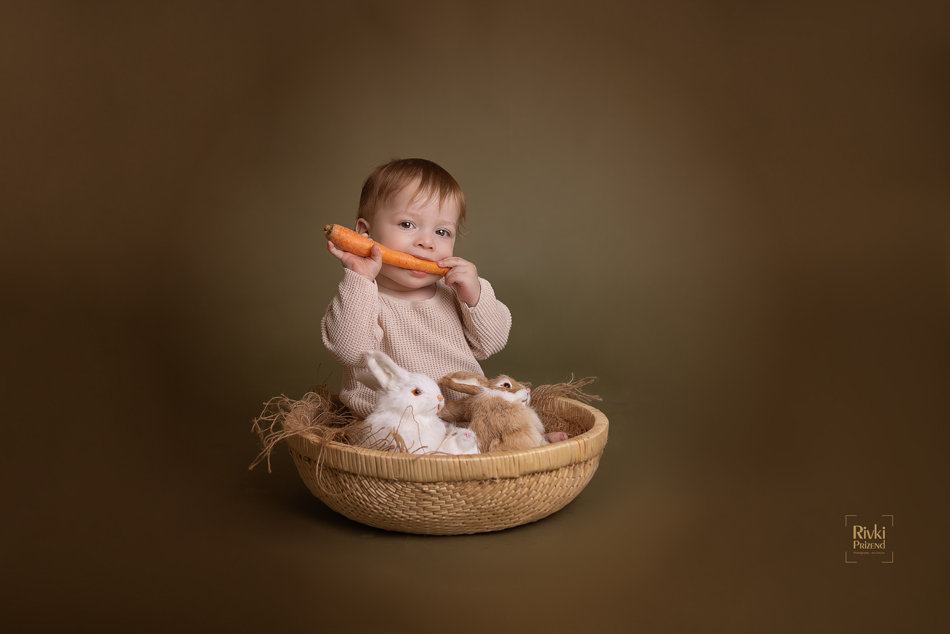 246A1531איכות נמוכה.jpg