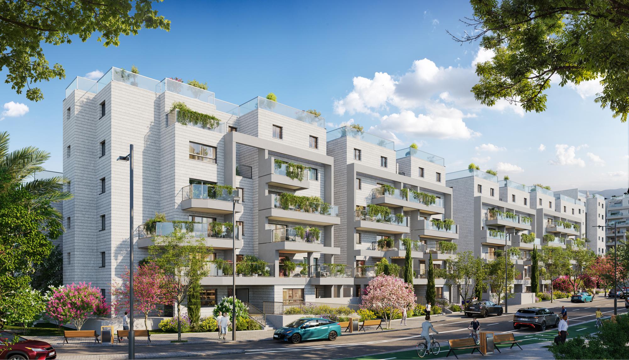 250702_Ramle-Avney_CAM 18 copy (1).jpg