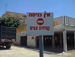 250px-קורטים_עצים.JPG