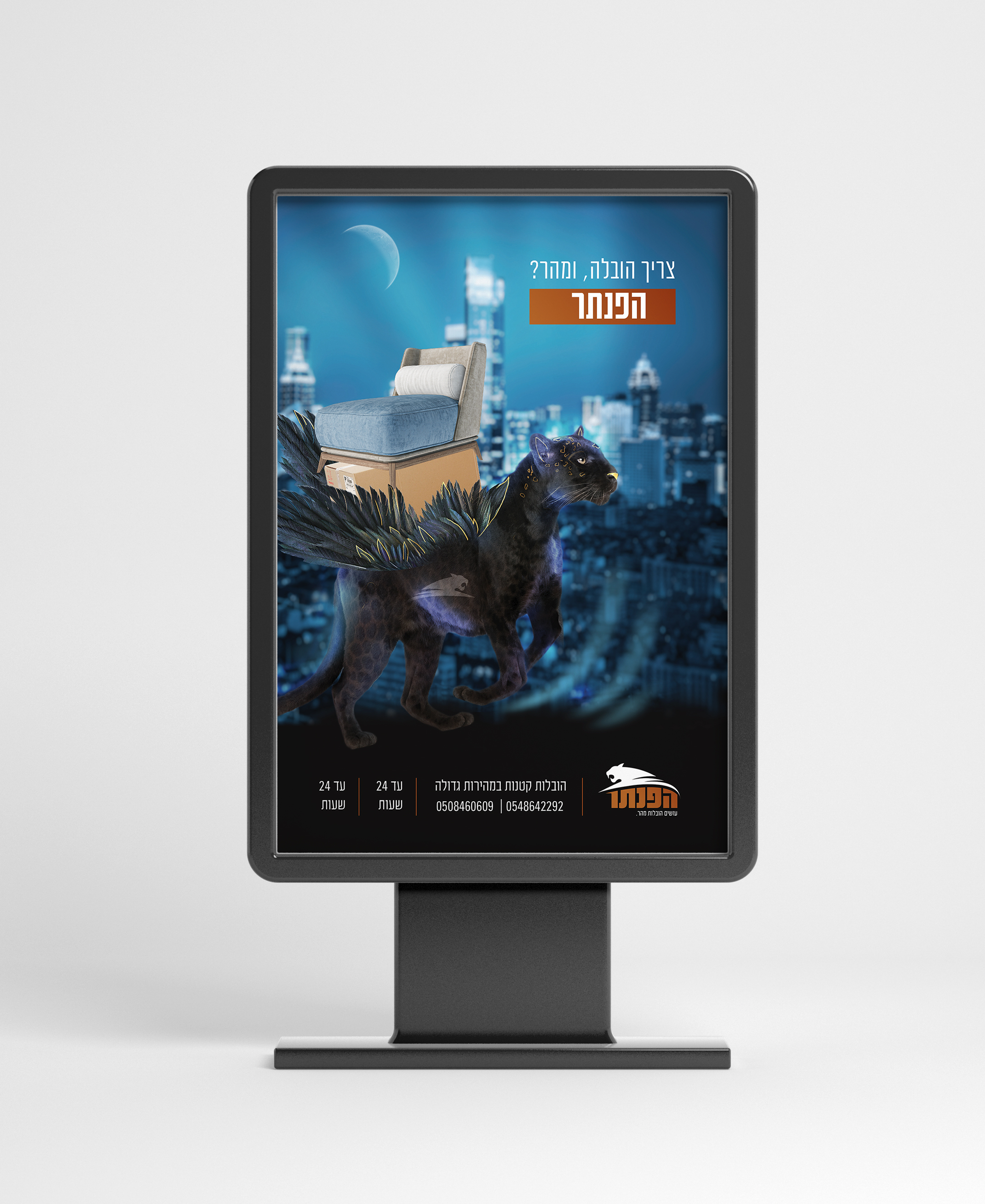 257 copy.jpgדג.jpg