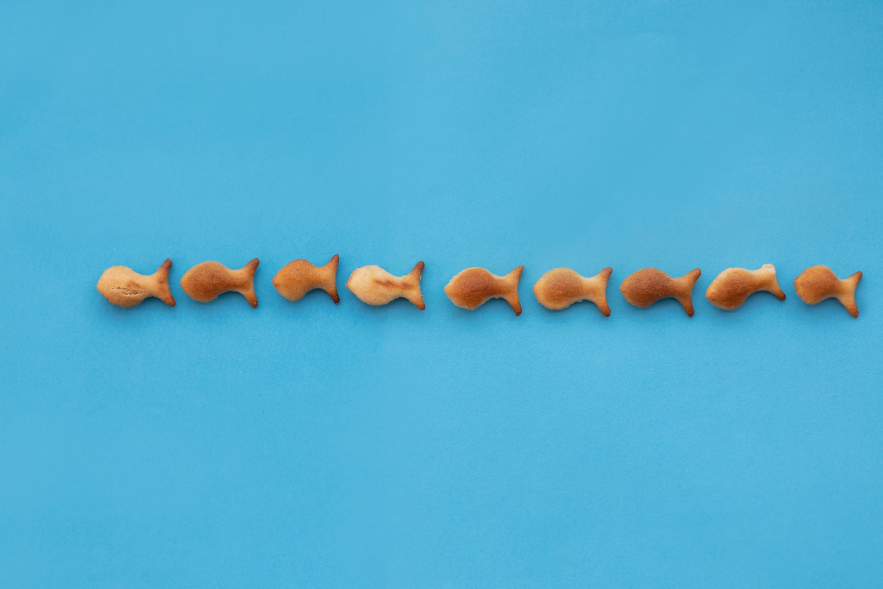 2J9A1832 העתק.jpg