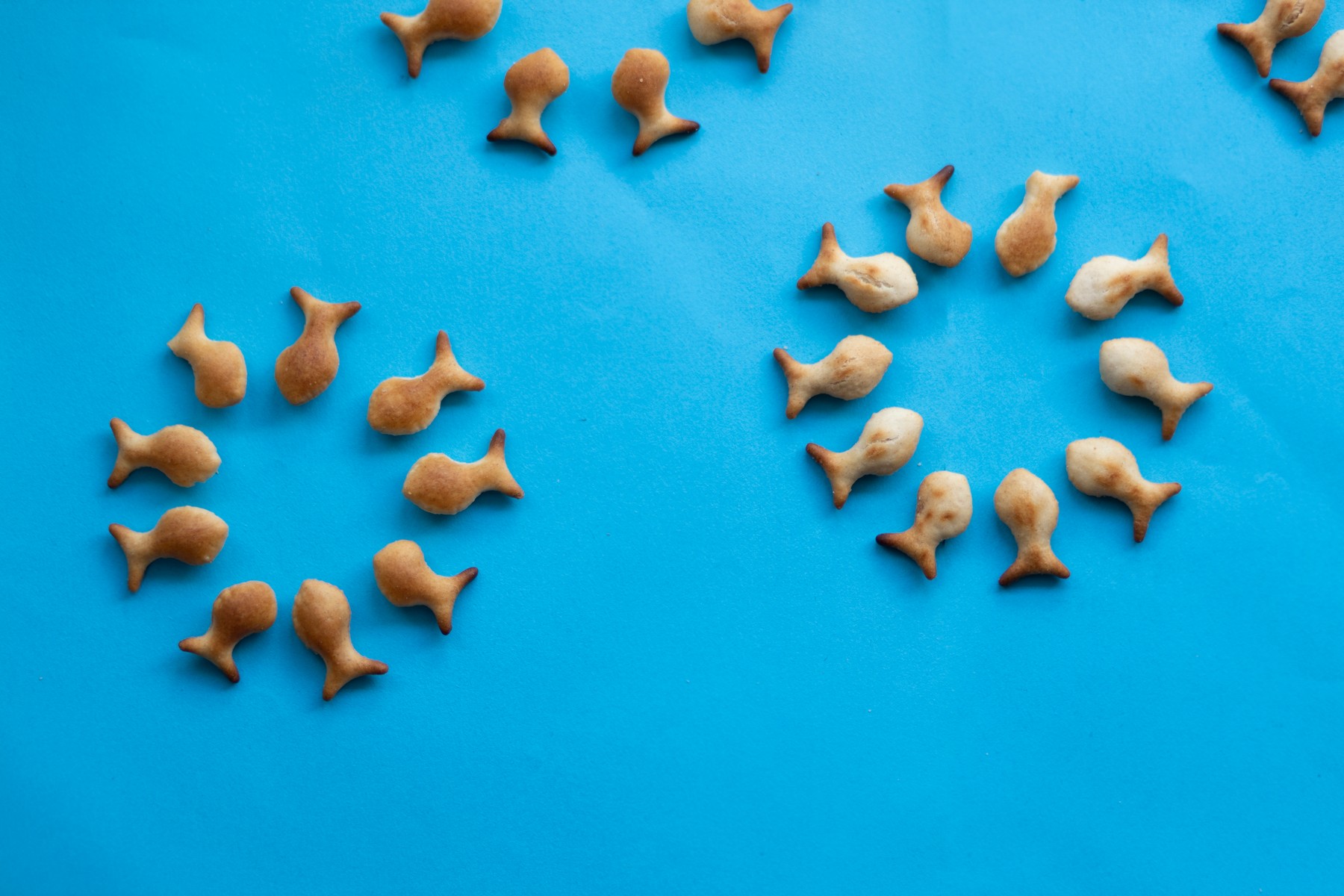 2J9A1846 העתק.jpg