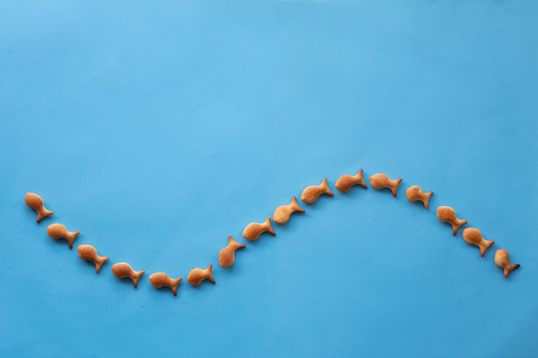 2J9A1851 העתק.jpg