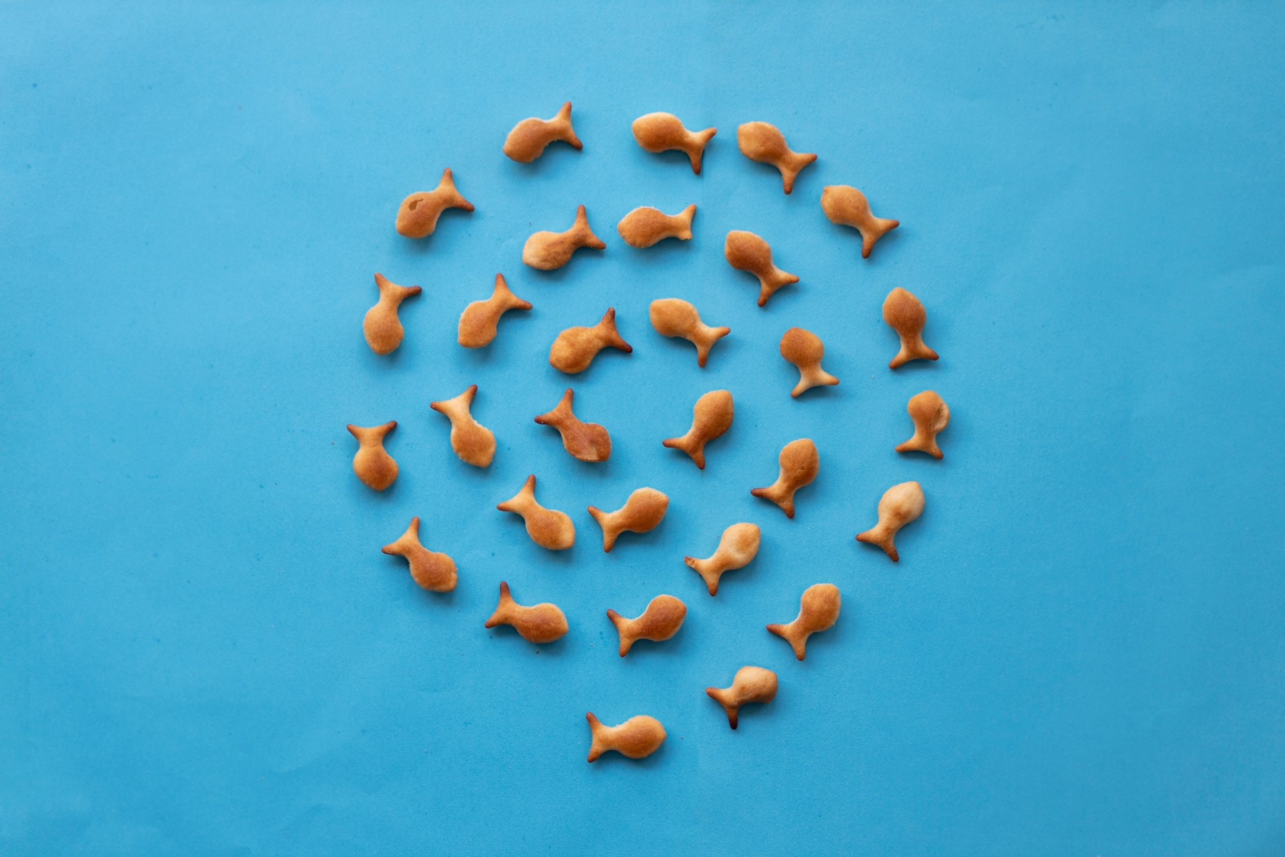 2J9A1853 העתק.jpg