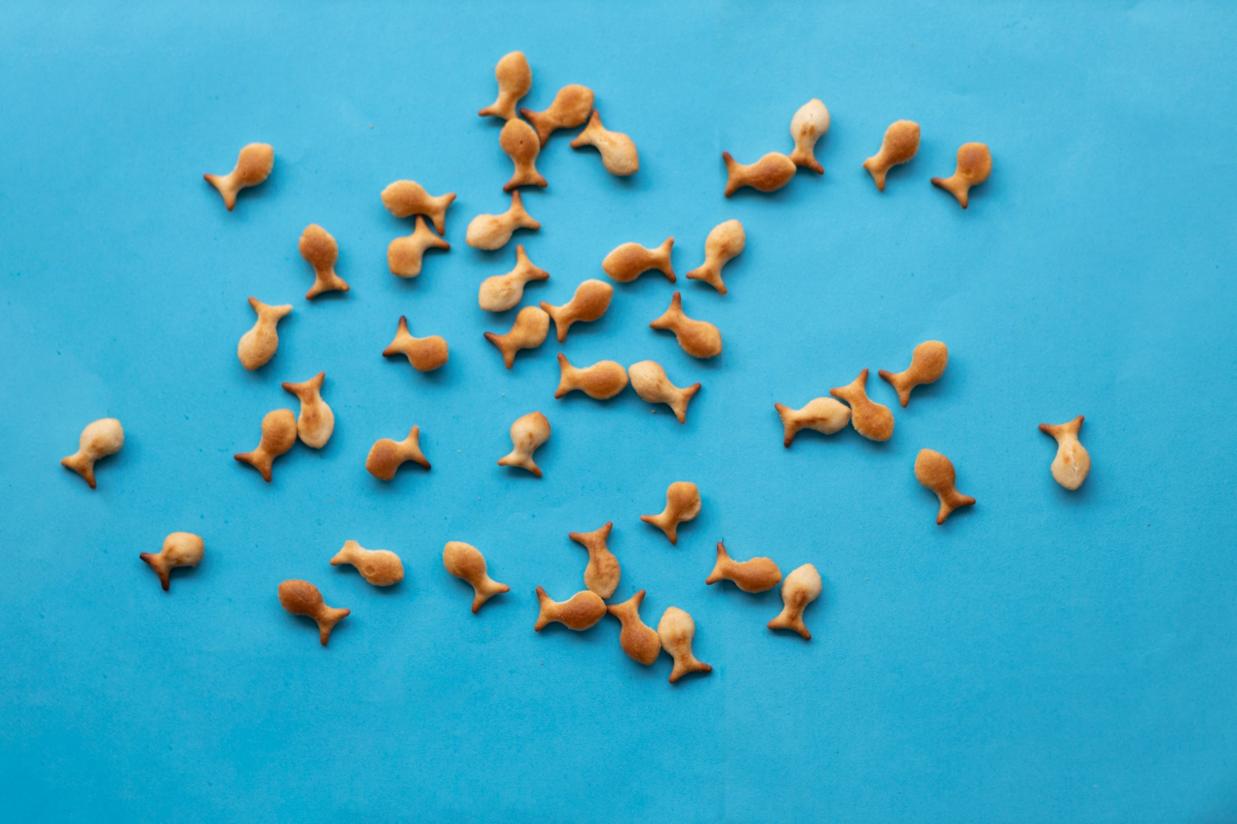 2J9A1857 העתק.jpg