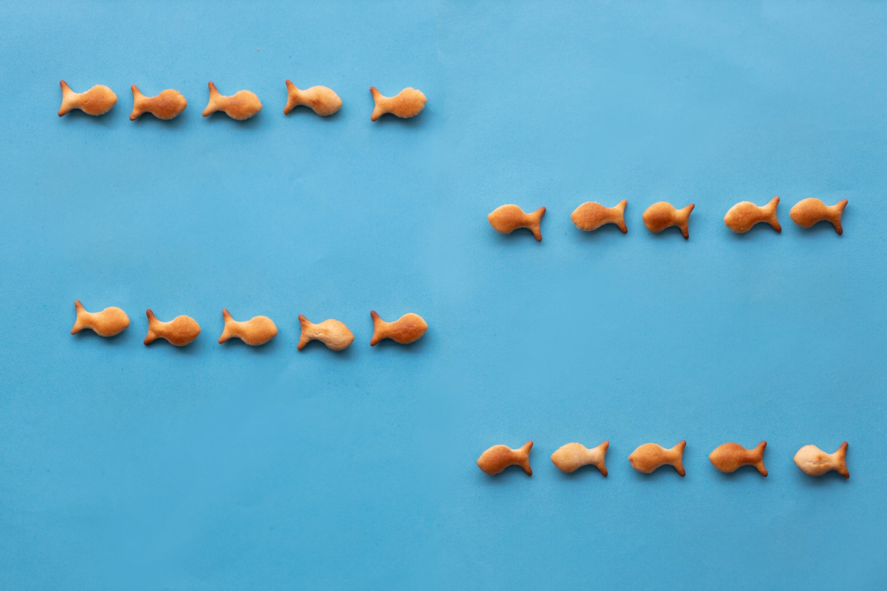 2J9A1859 העתק.jpg