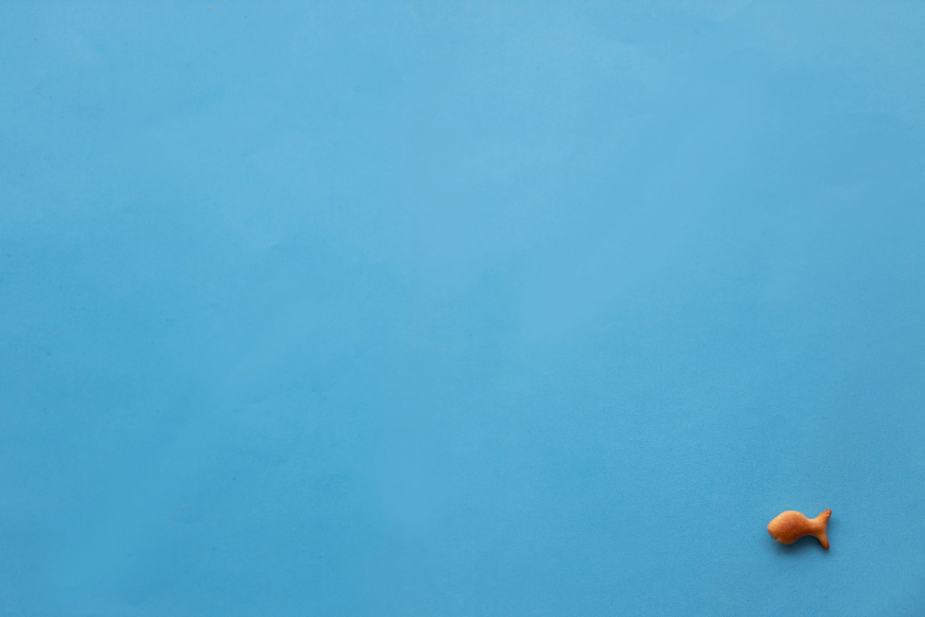 2J9A1862 העתק.jpg