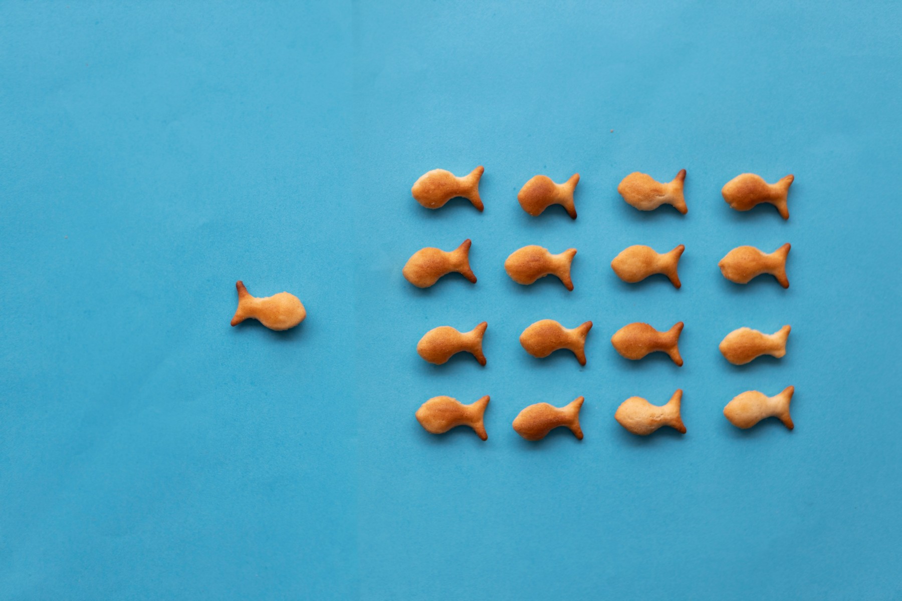 2J9A1865 העתק.jpg