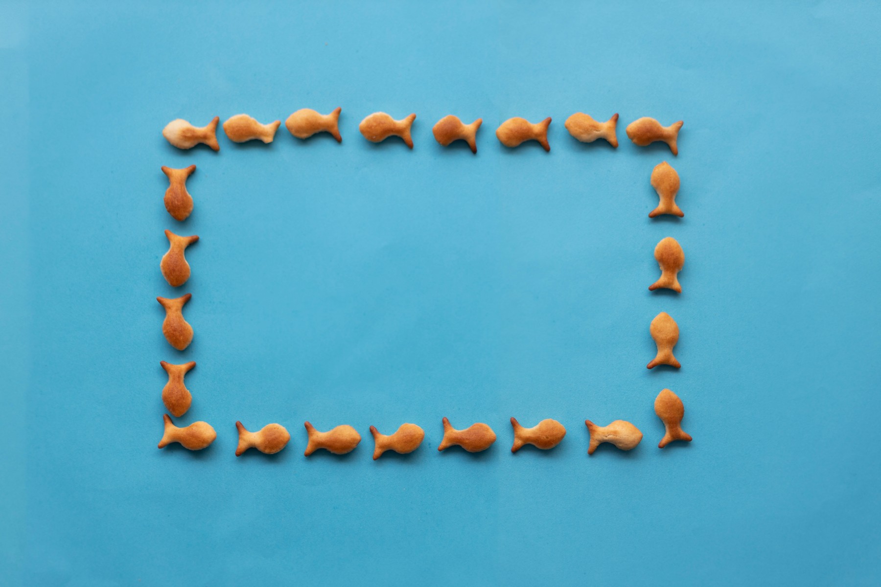 2J9A1870 העתק.jpg