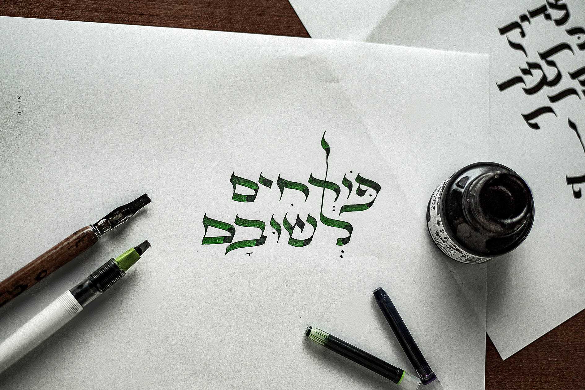 2L6A5595 קטןןןןcopy.jpg