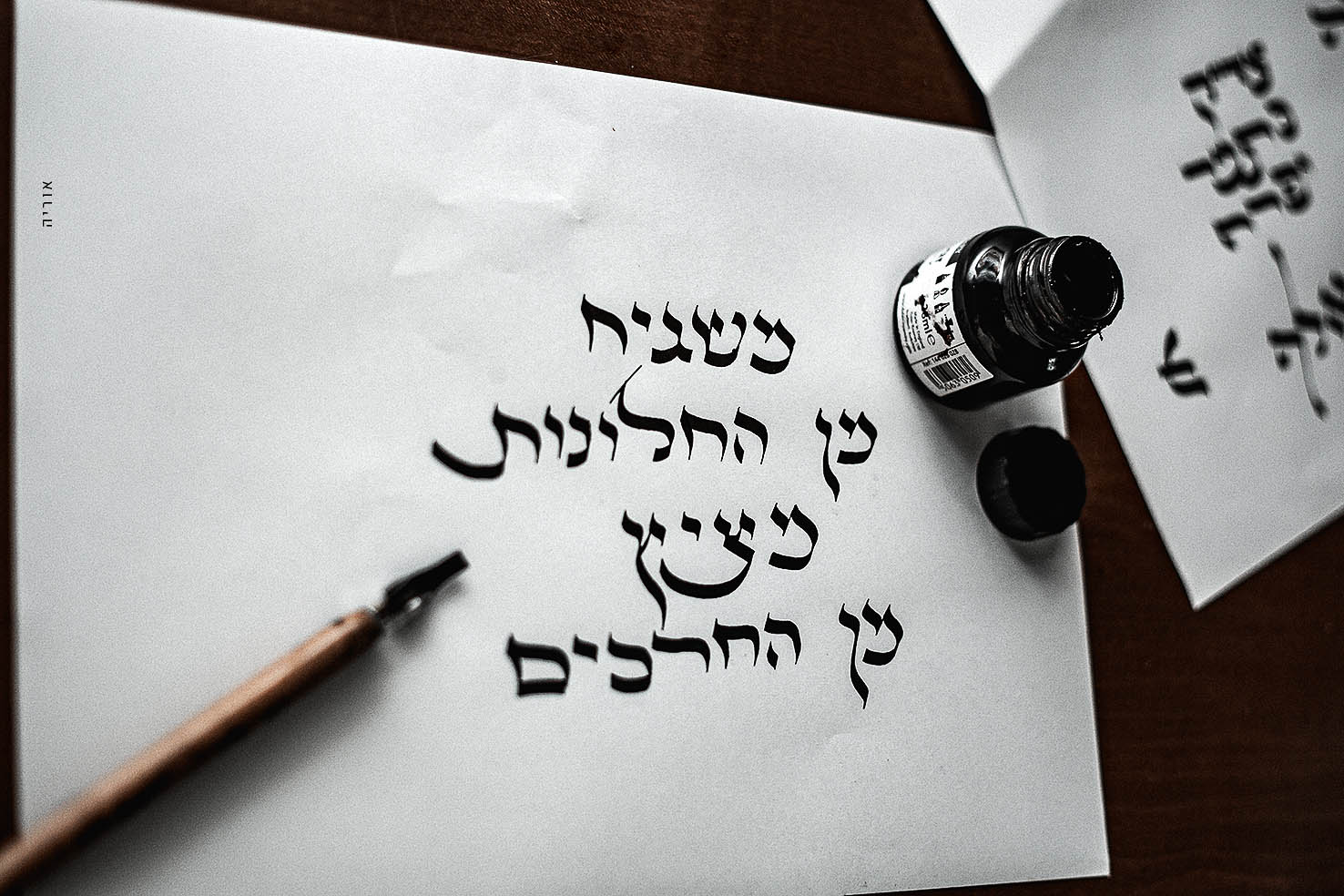 2L6A5599 קטןןןcopy.jpg