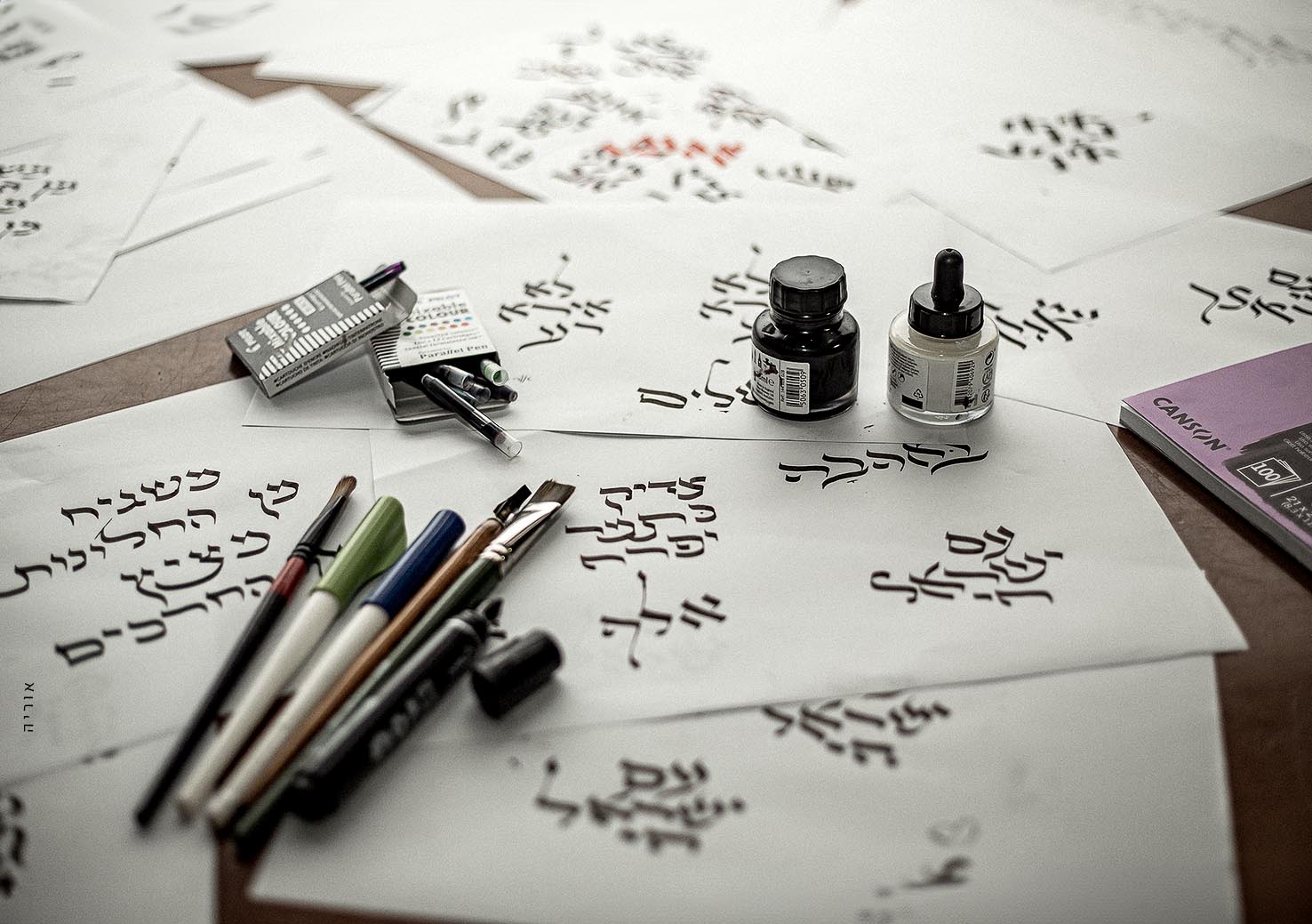 2L6A56קטן copy.jpg