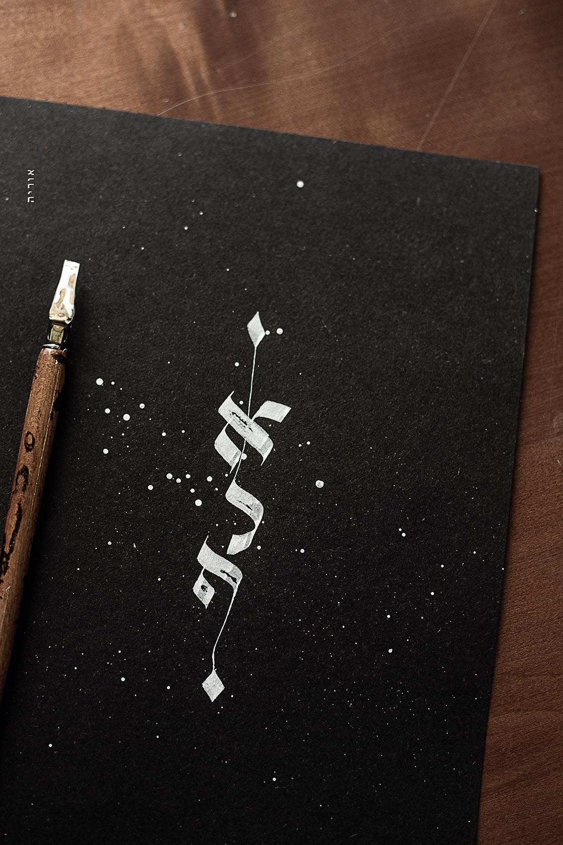 2L6A9048 קטןcopy.jpg