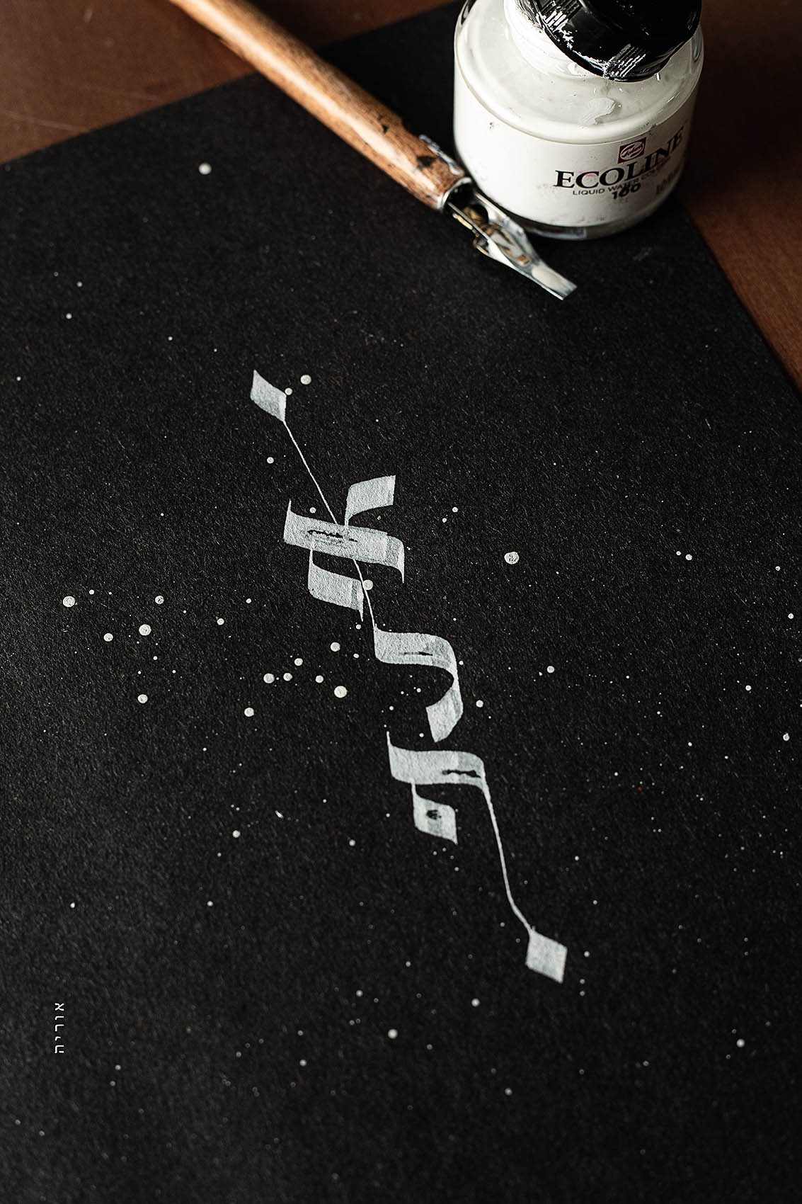 2L6A9091 קטןcopy.jpg