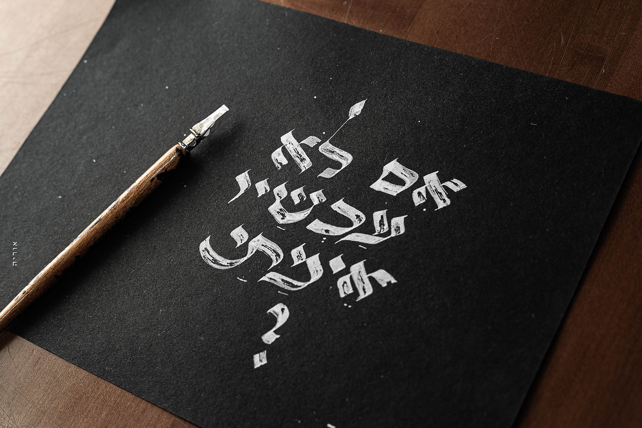 2L6A9156 קטןcopy.jpg