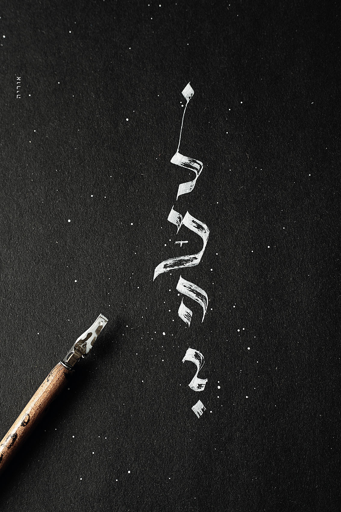 2L6A917EYקטןI6 copy.jpg