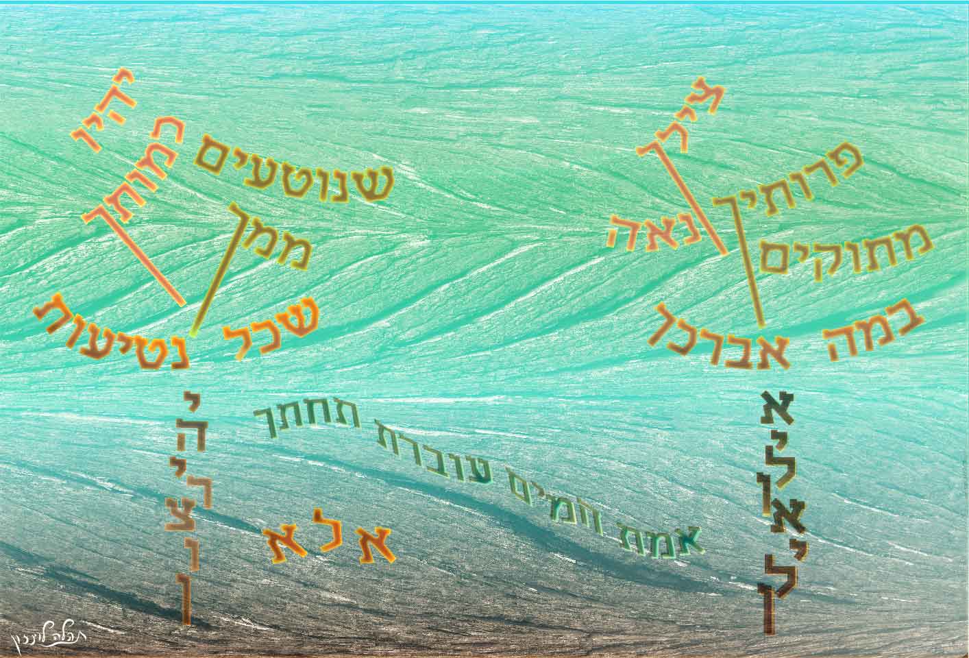 3 אילן-01.jpg