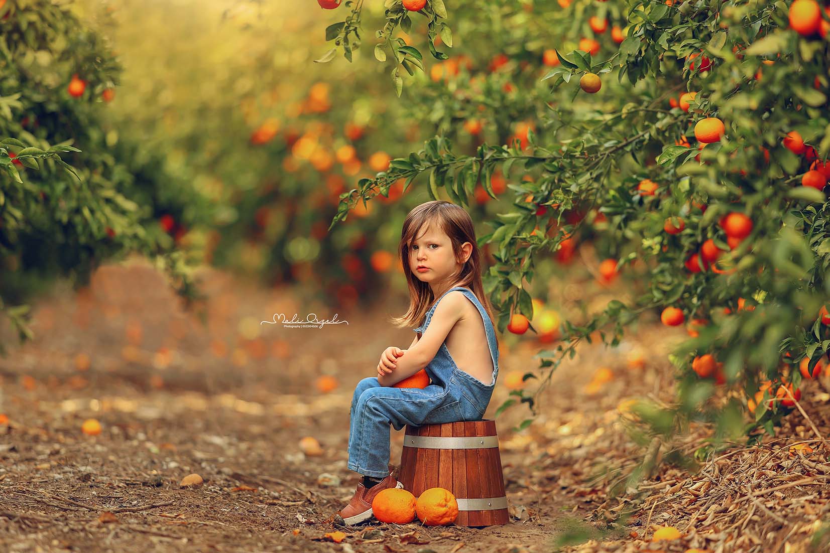 3 מוקטן מתוקן copy.jpg