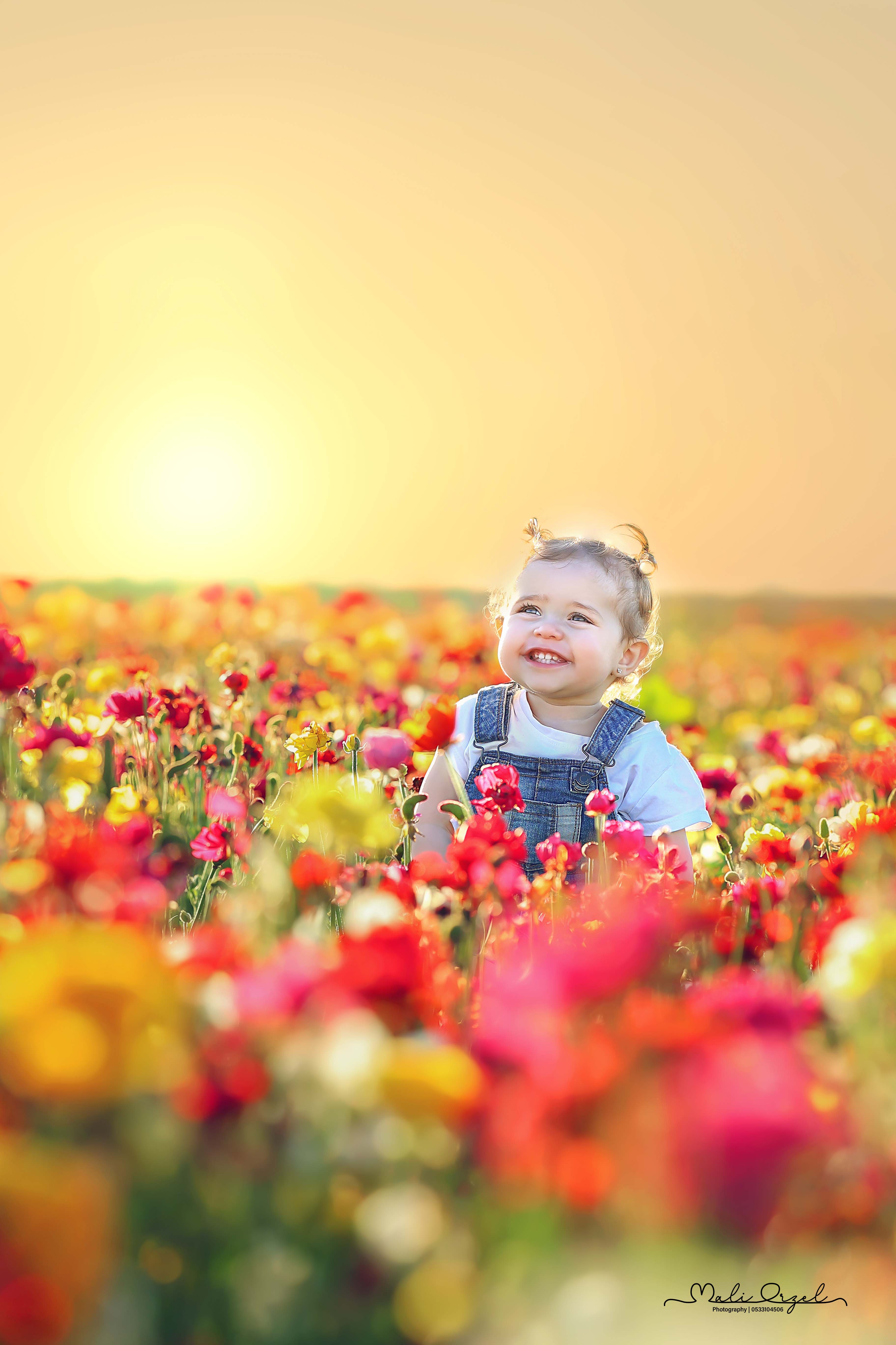 3 מוקטן מתוקן.jpg