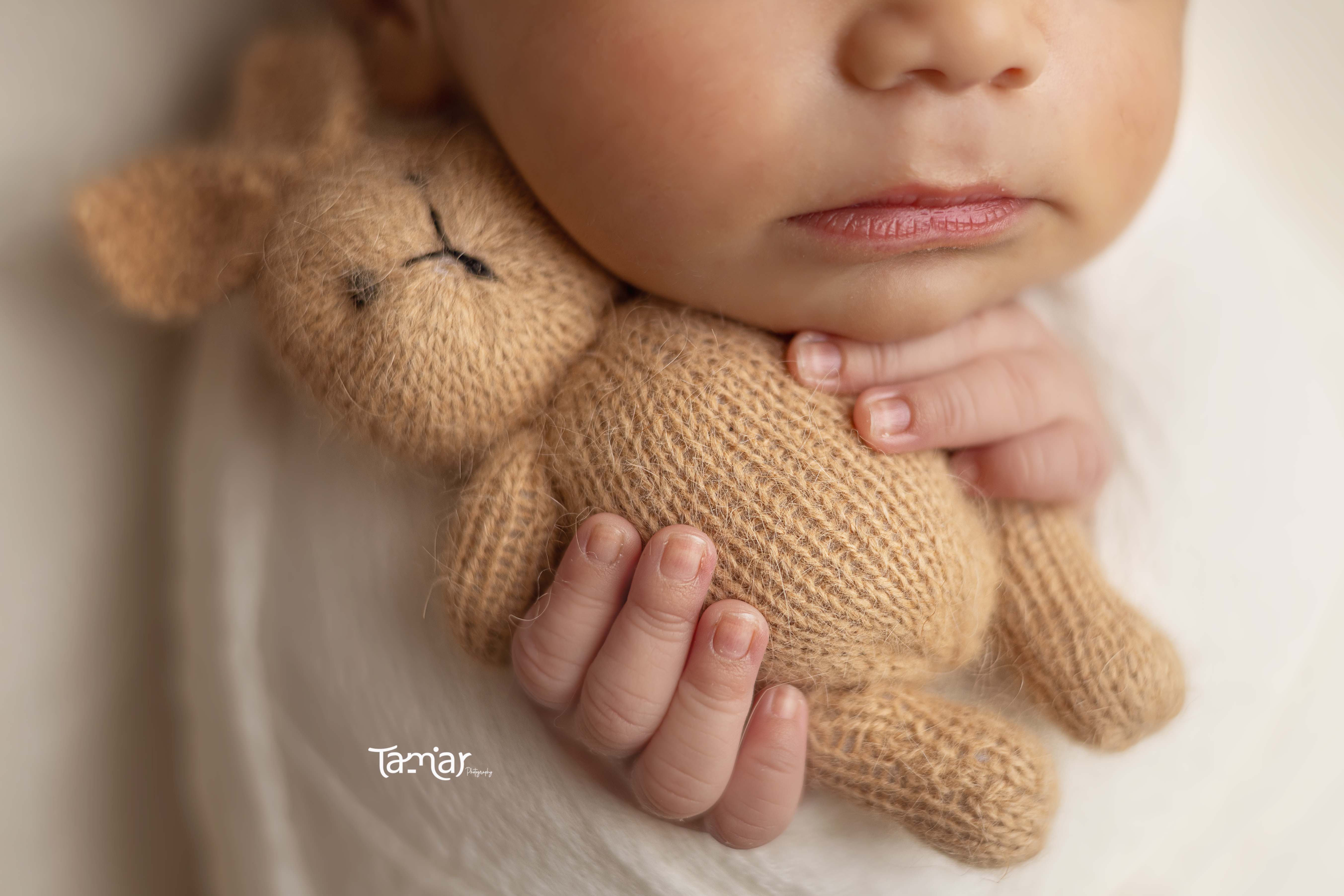 372A0195 copy -מוקטן.jpg