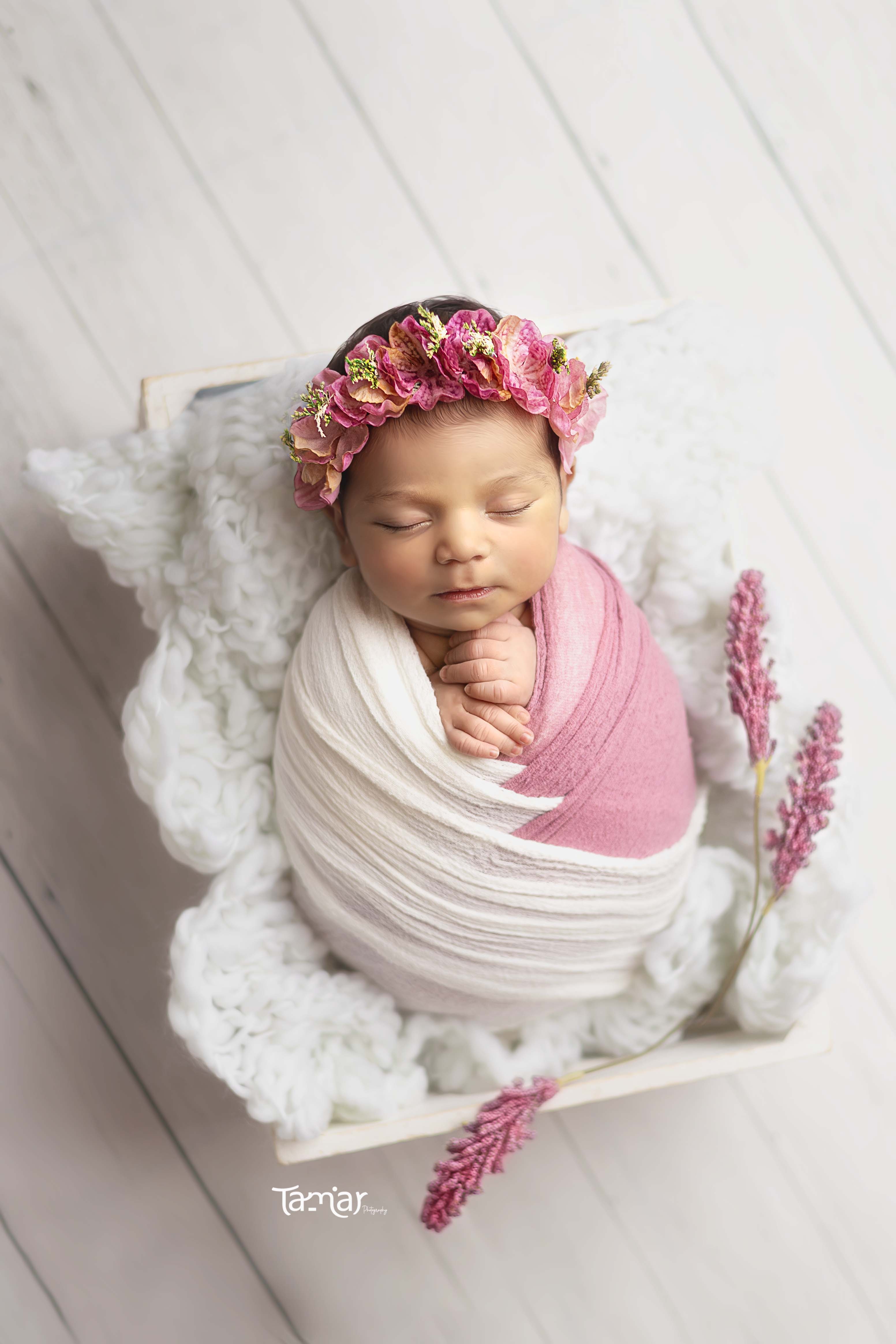 372A0227 copy -מוקטן.jpg