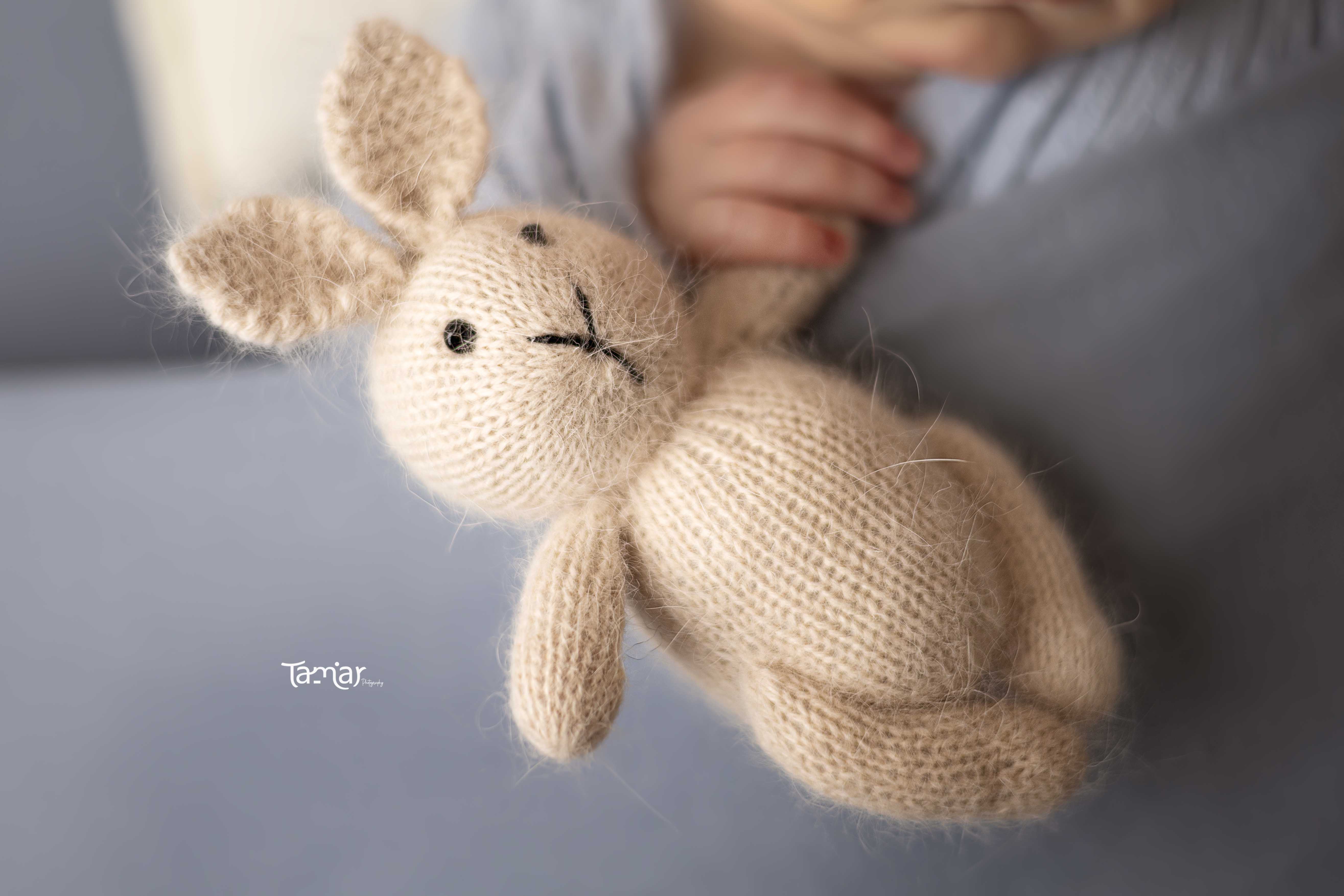 372A0810 copy - מוקטן.jpg