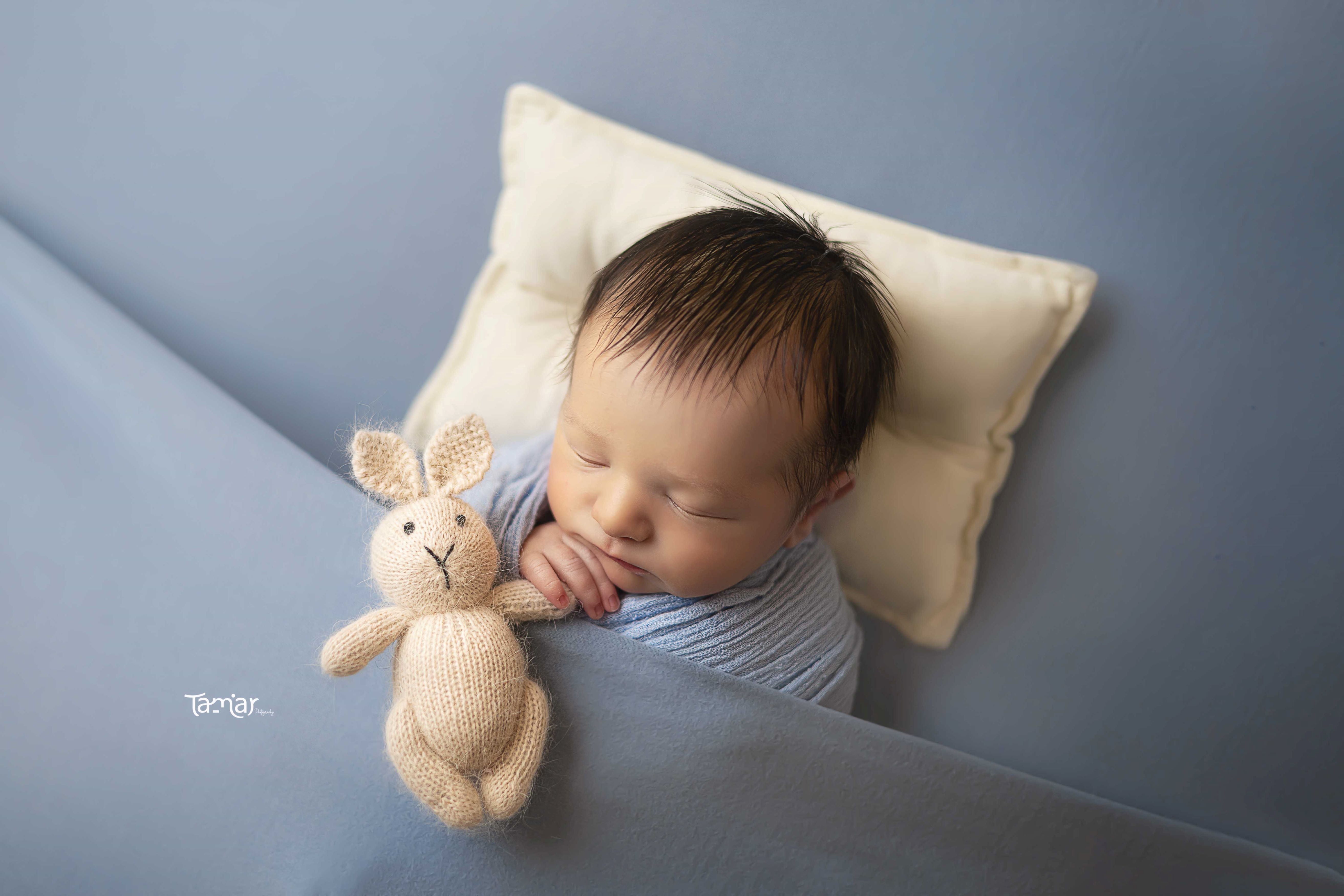 372A0824 copy - מוקטן.jpg