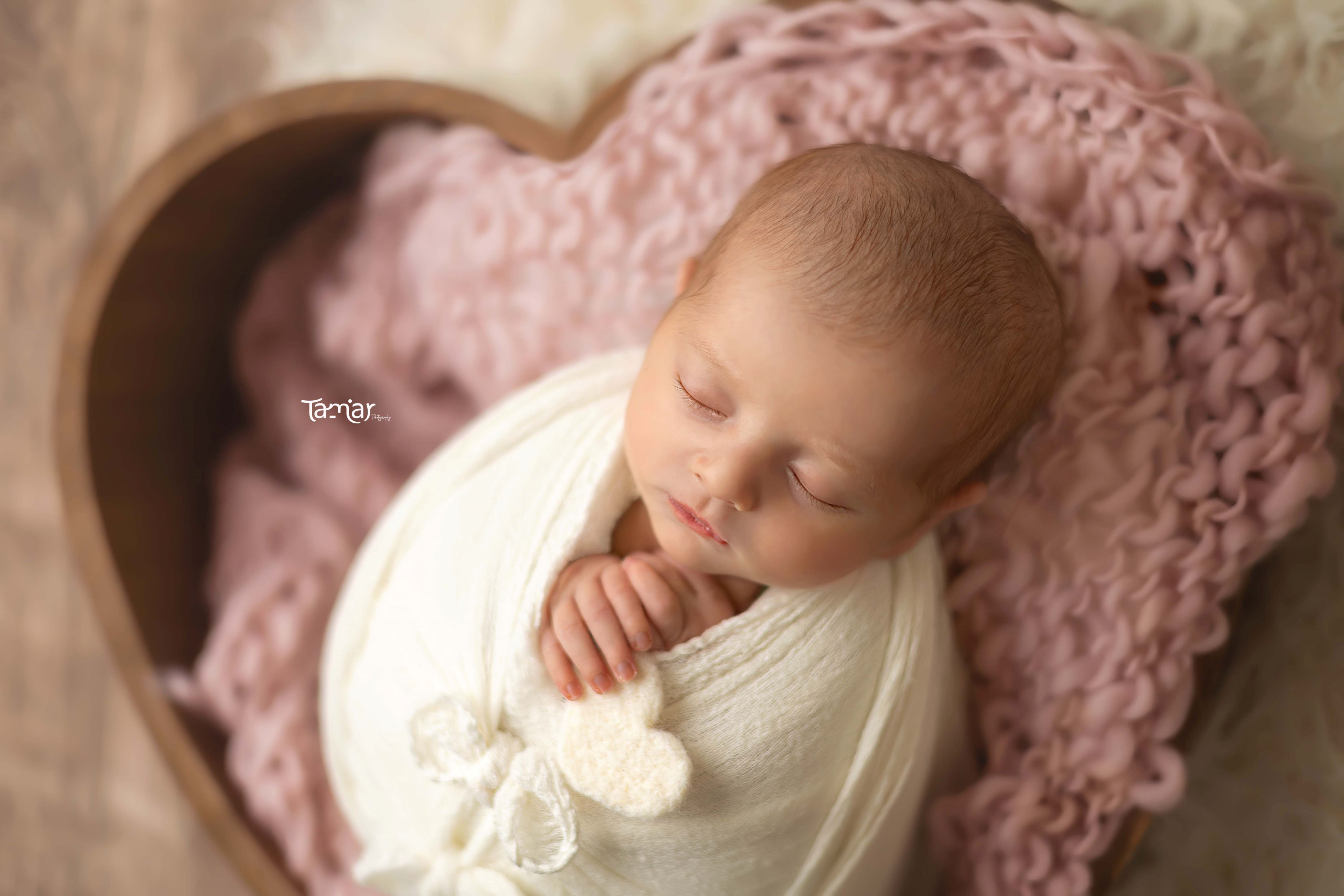 372A1195 copy - מוקטן.jpg