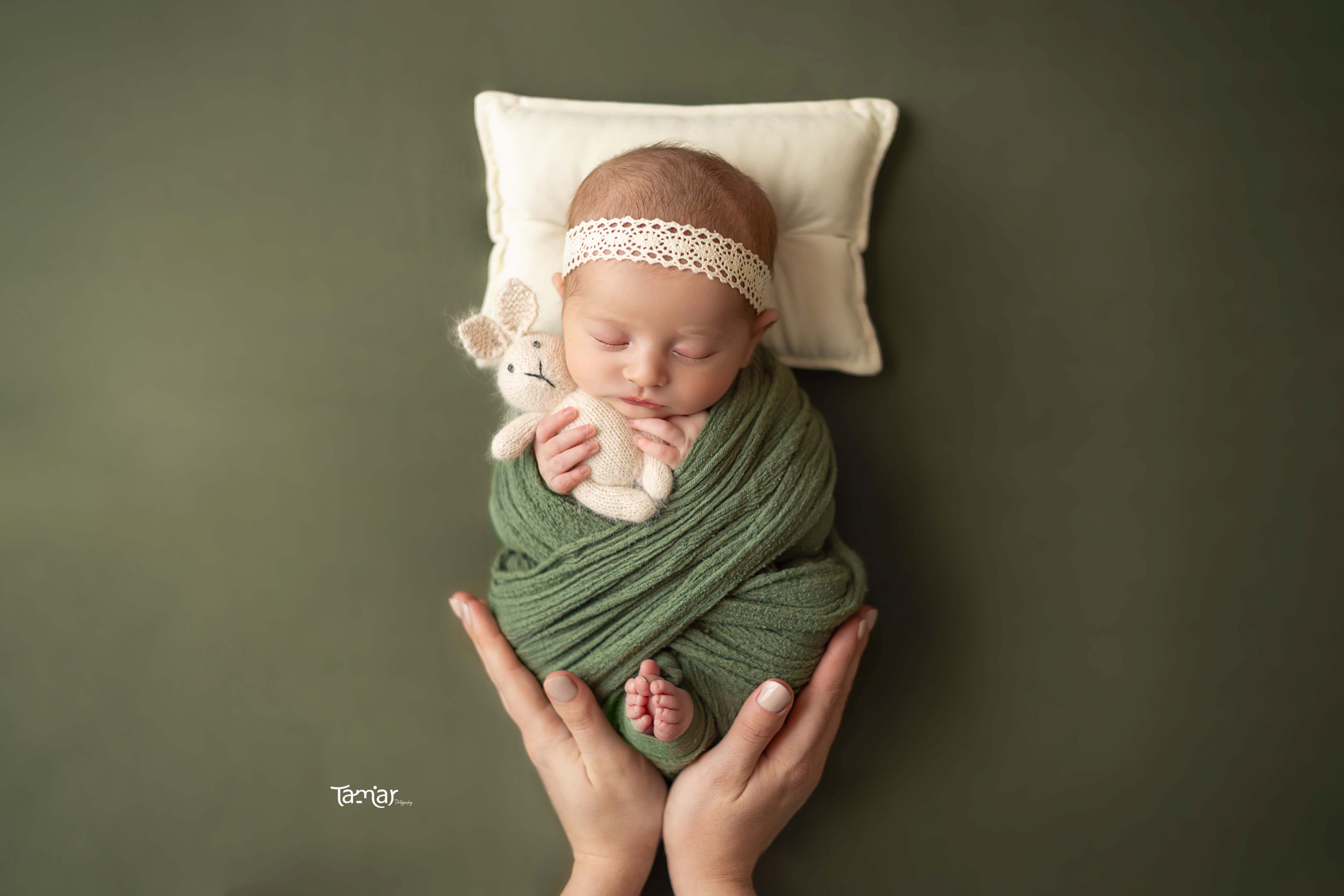 372A1230 copy - מוקטן.jpg