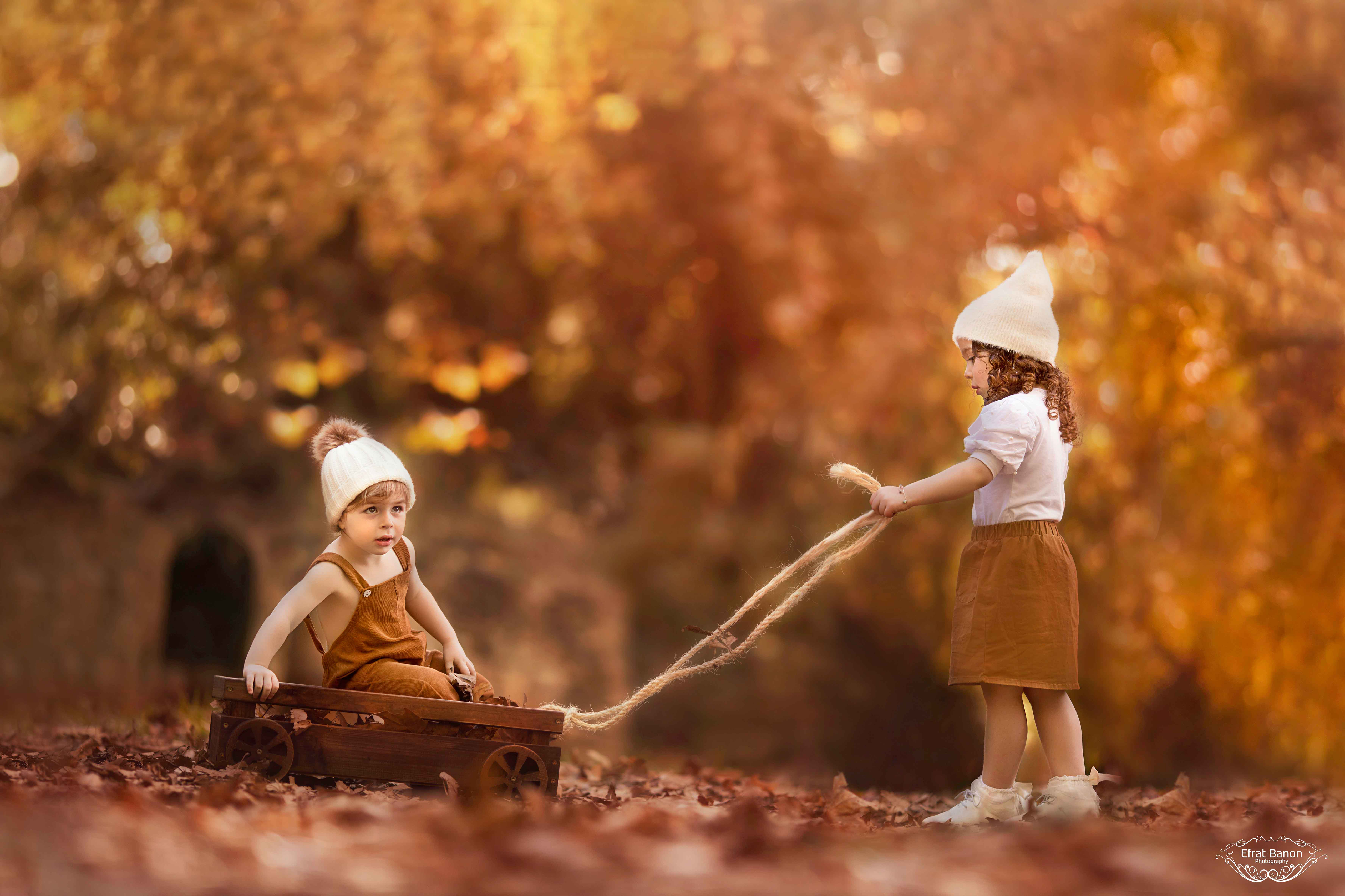 - (39)מהזזת םלוגו.JPG