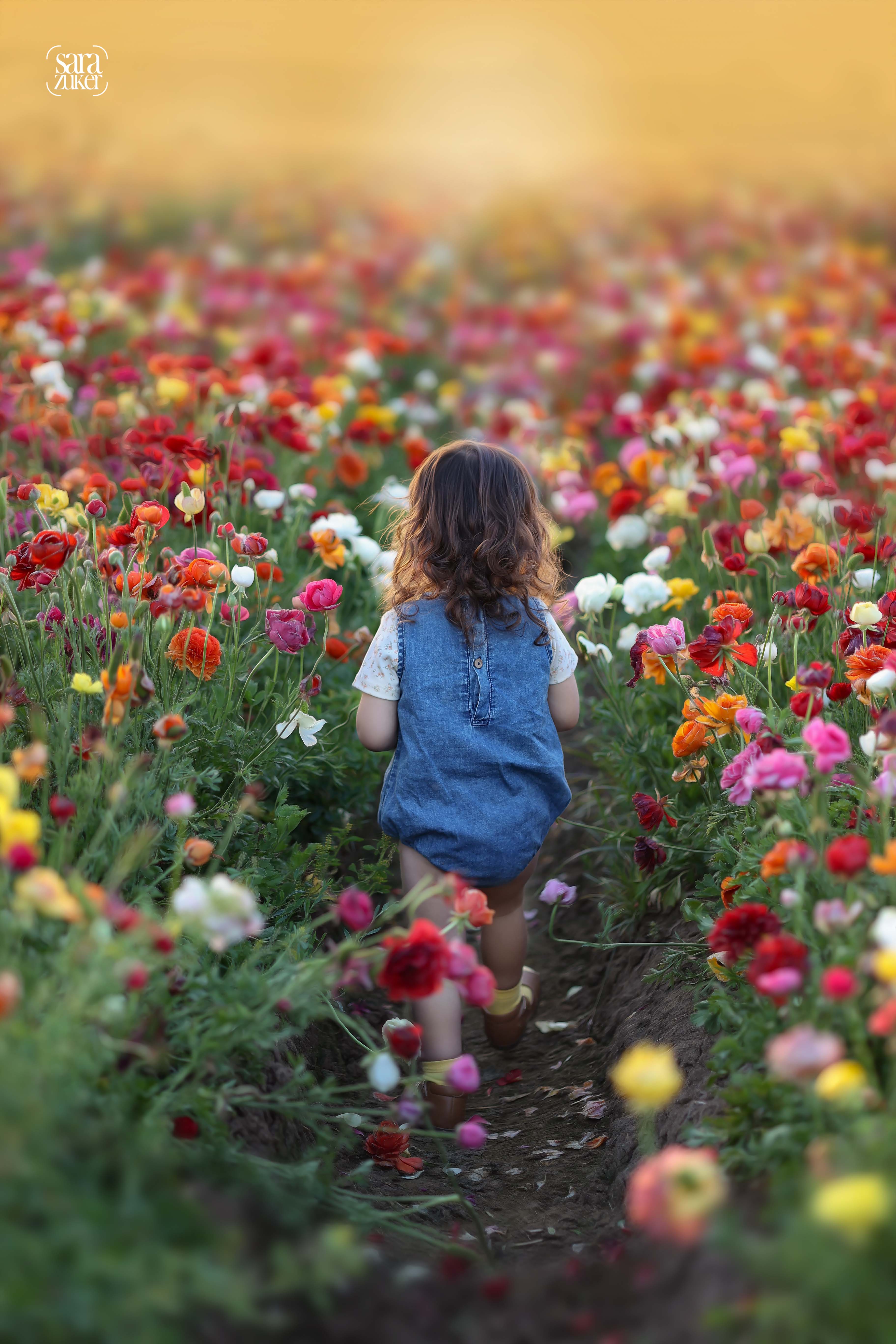 3K7A9461 לוגו.jpg