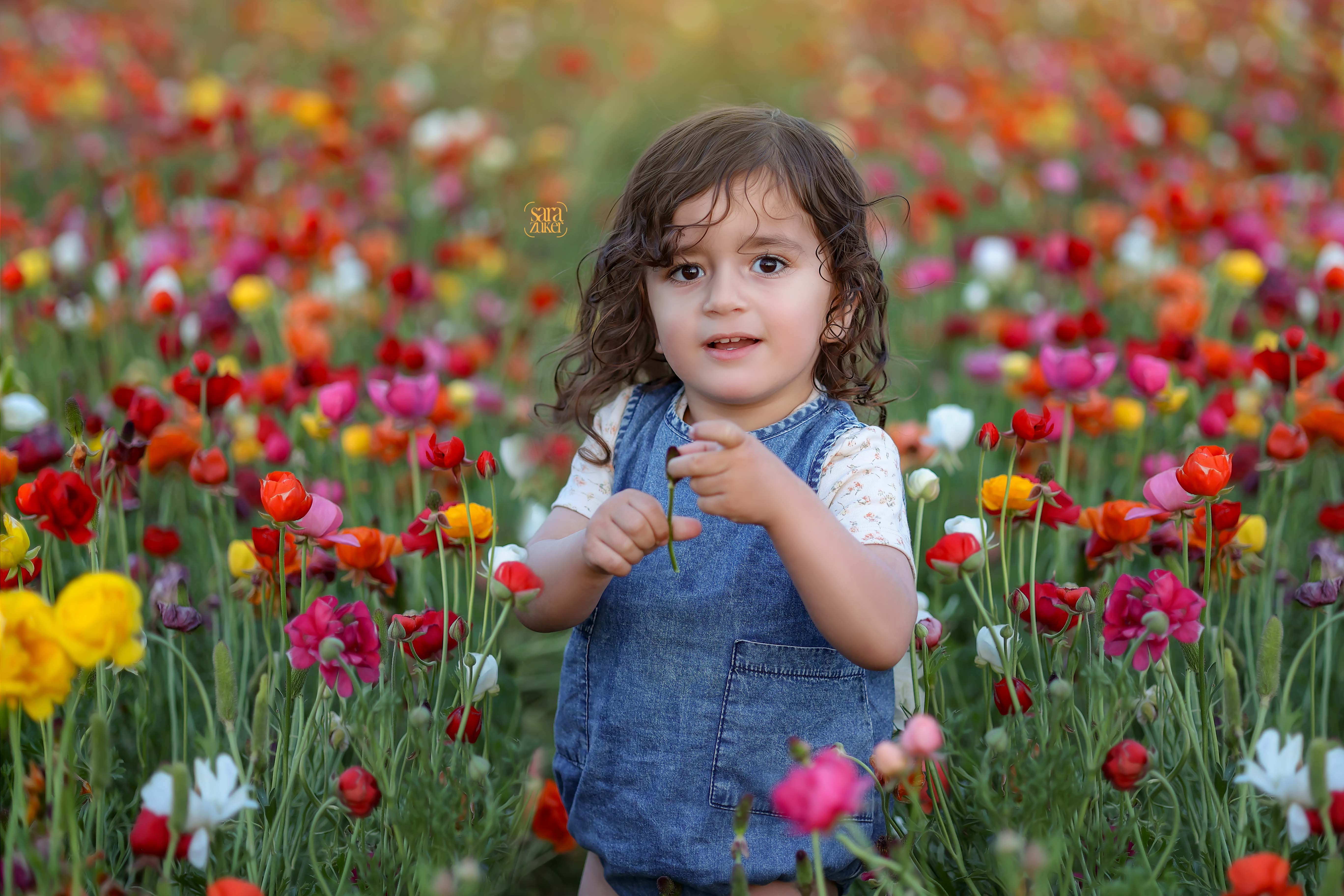 3K7A9531 copyצילום שרה צוקר.jpg