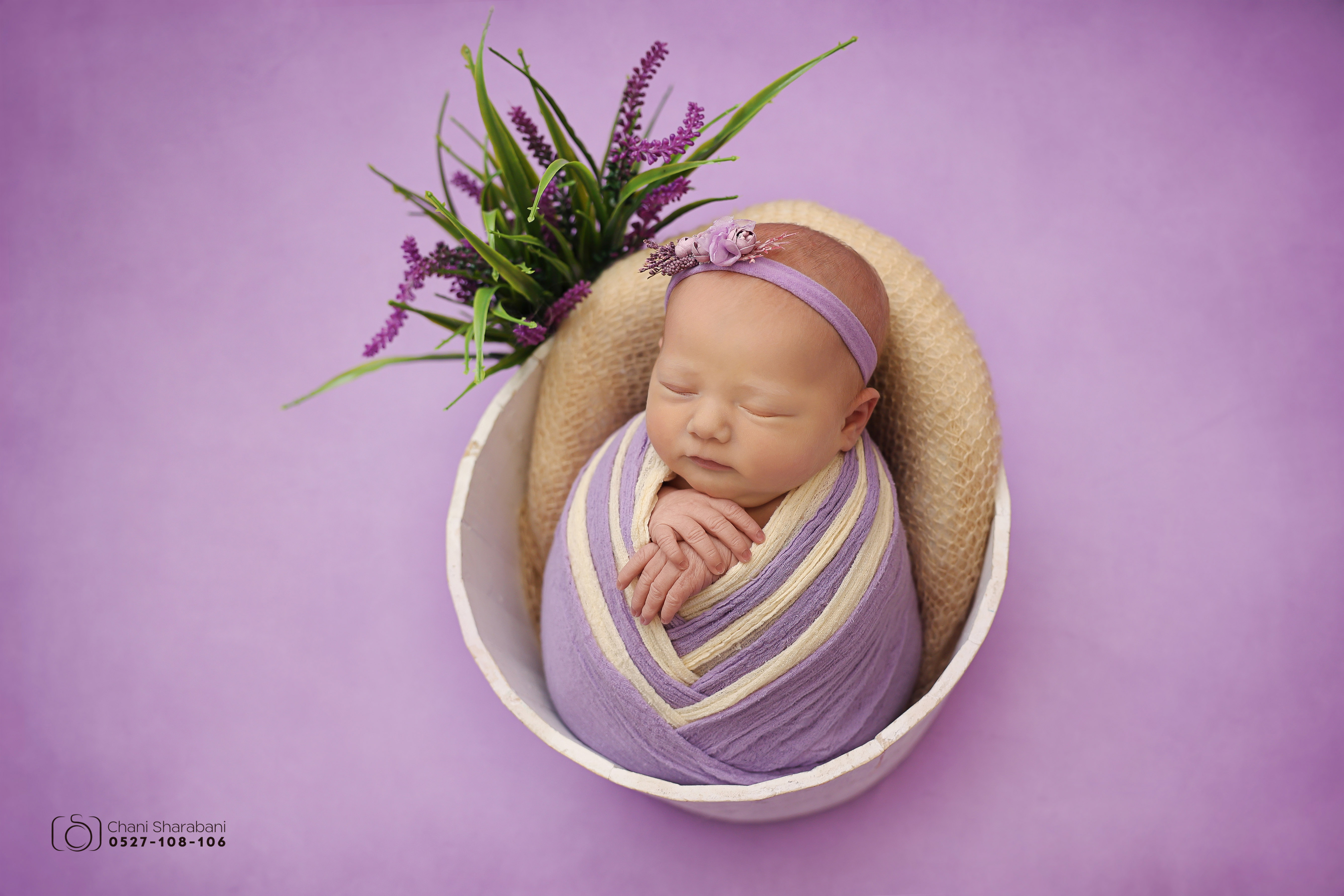 -402A1482 copy צילום חני שרבאני.jpg