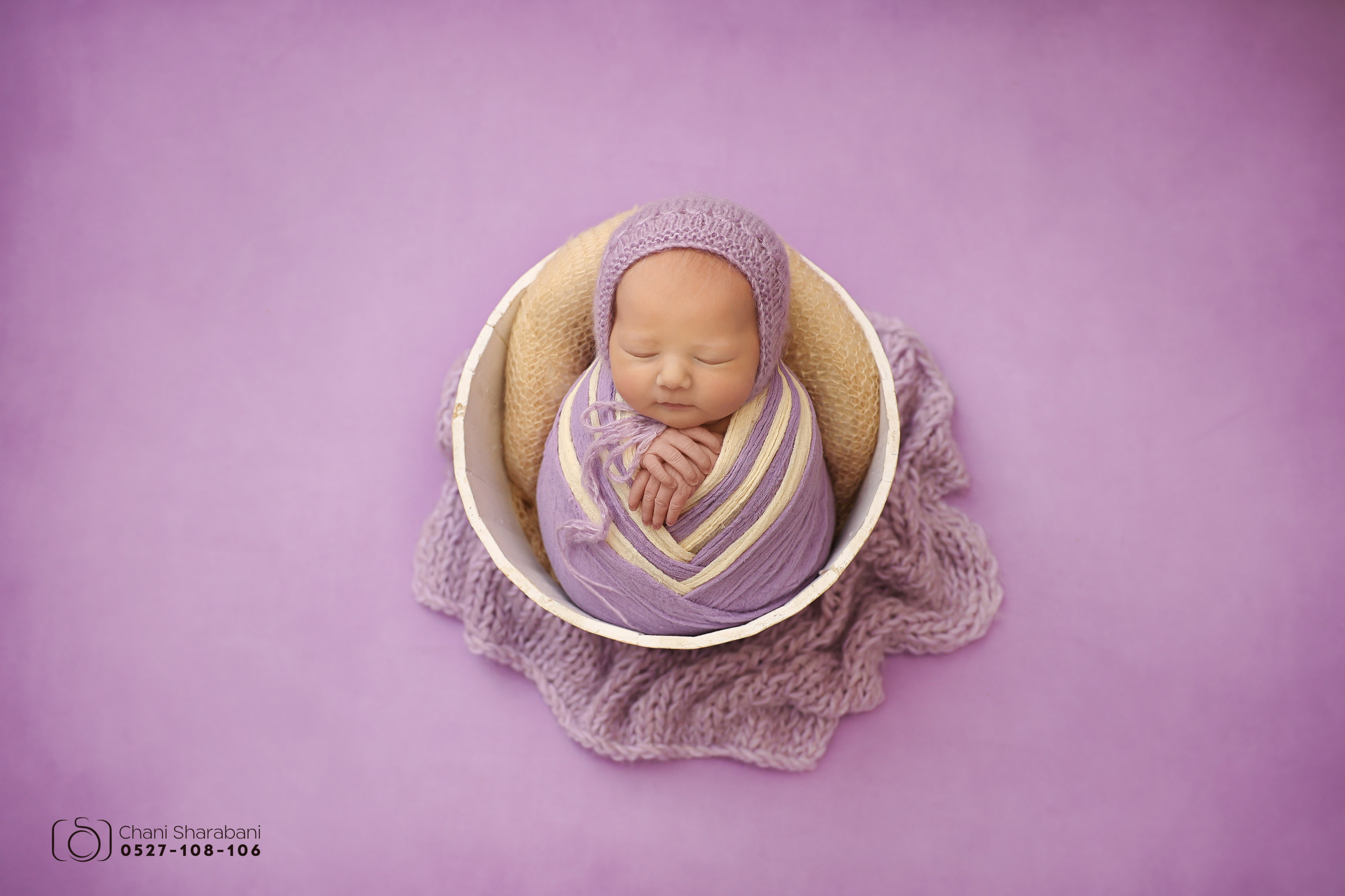 -402A1500 צילום חני שרבאני.jpg