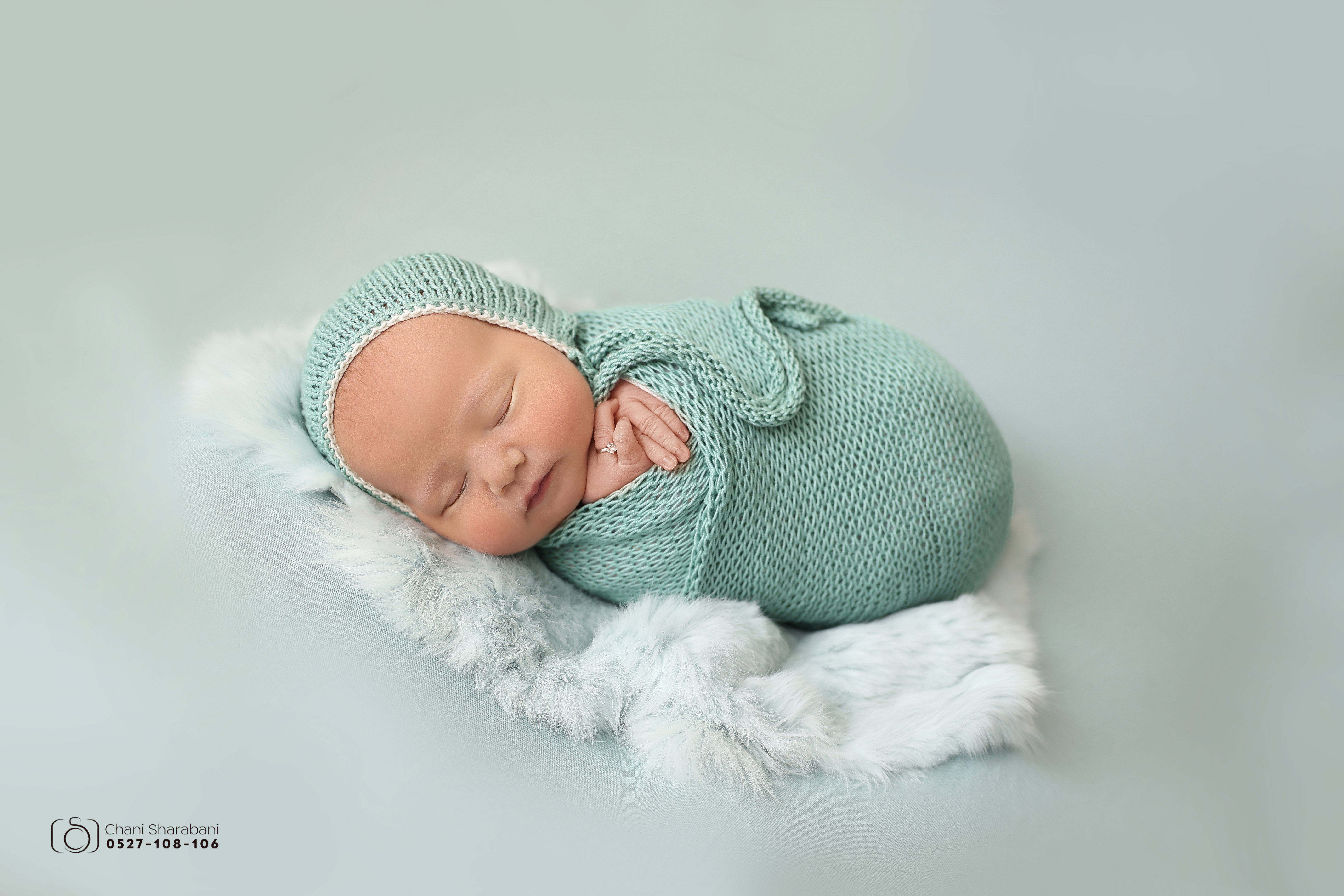 402A1600 copy צילום חני שרבאני.jpg