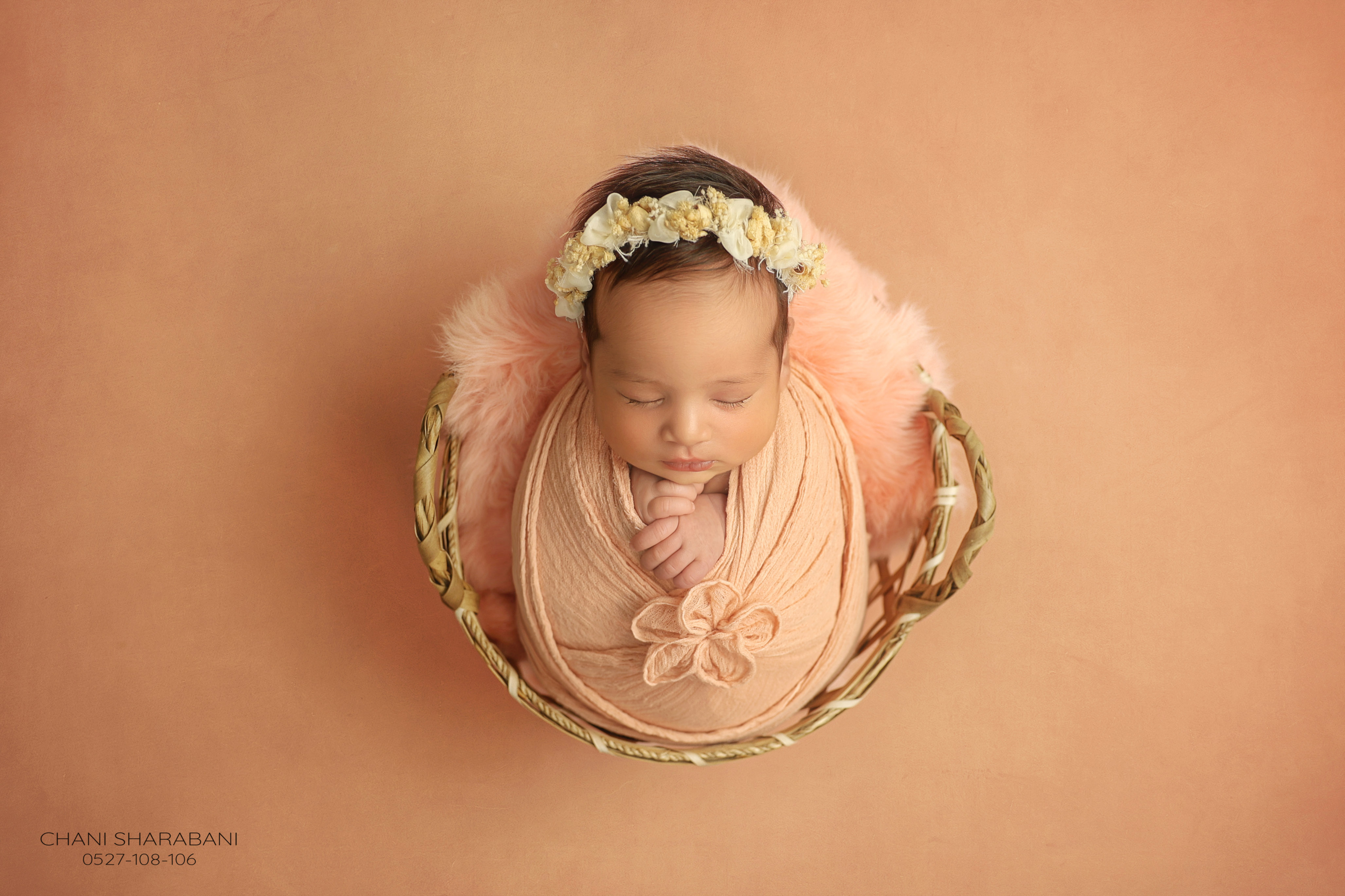 402A1659 copy 3.jpg צילום חני שרבאני 0527108106.jpg