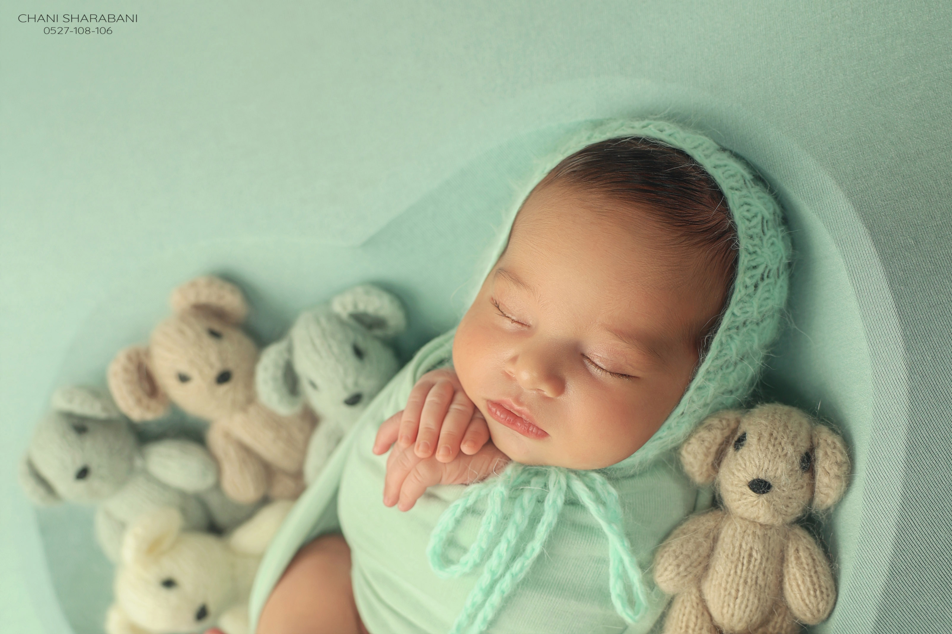 402A1868 copy 3.jpg צילום חני שרבאני 0527108106.jpg