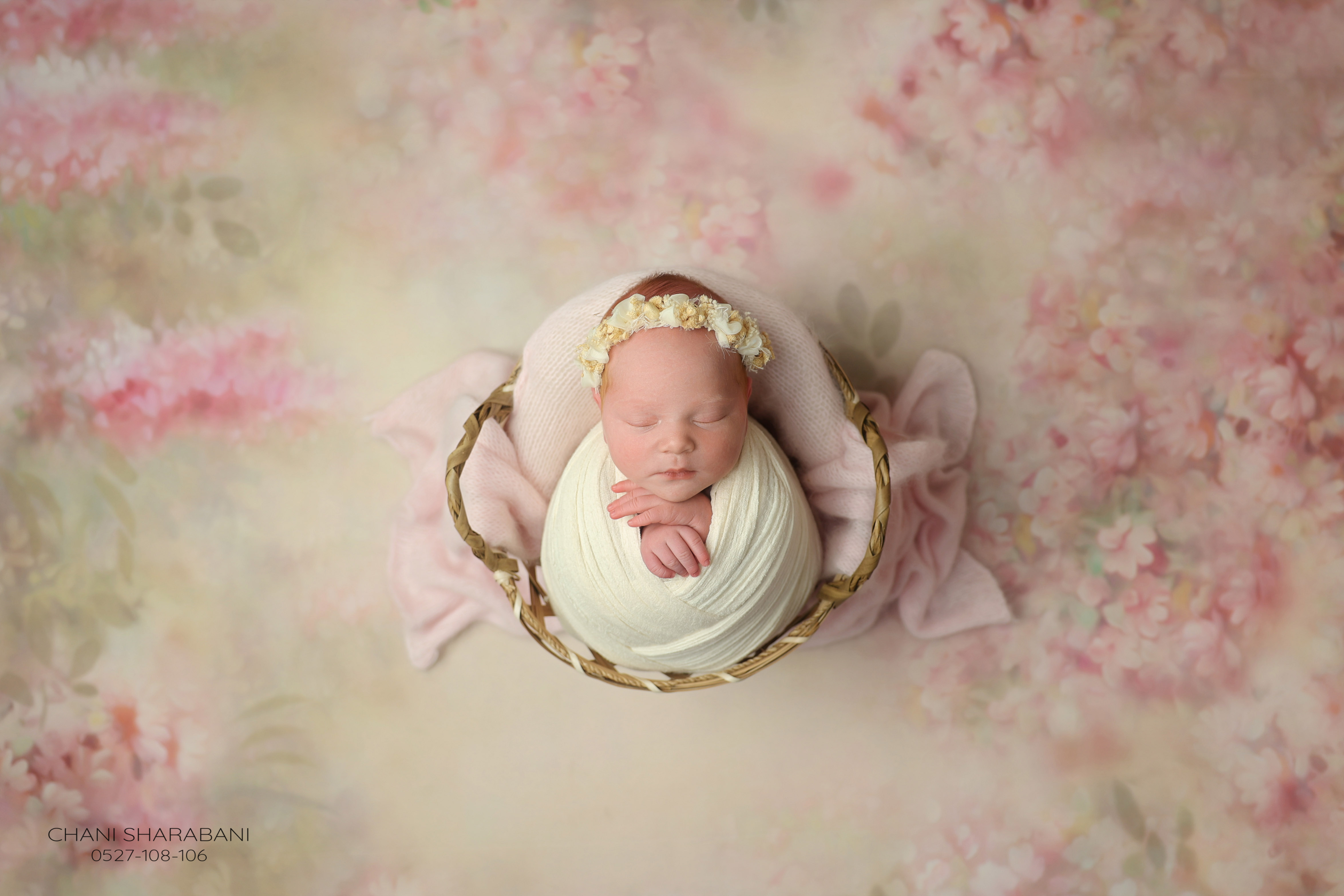 402A3212 copy 2.jpgצילום חני שרבאני 0527108106.jpg